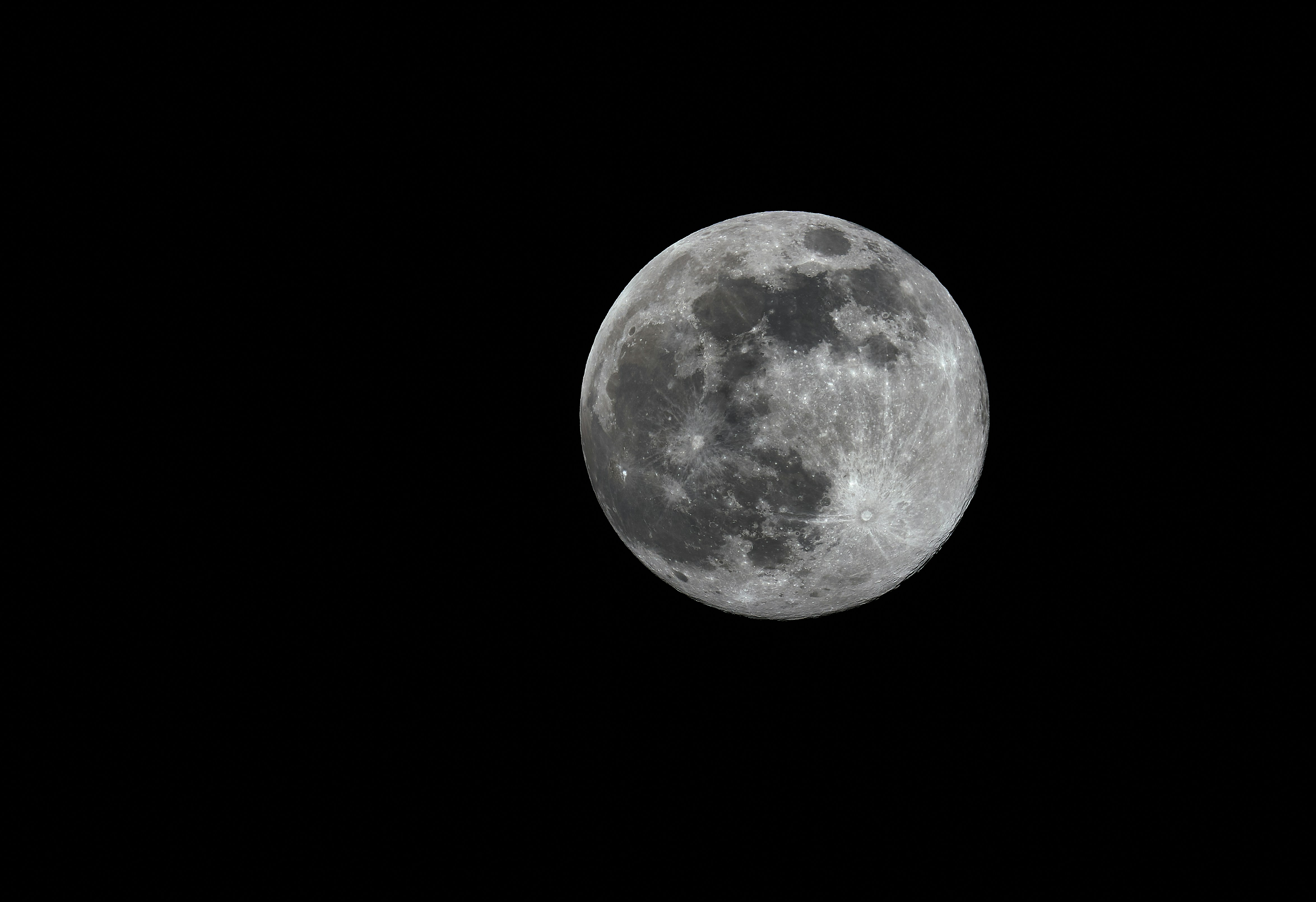 Photo by wolfgang_hasselmann