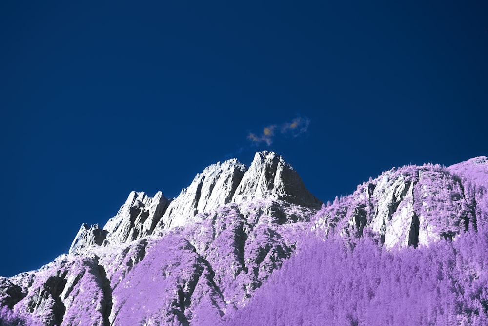 Una montaña muy alta cubierta de árboles púrpuras