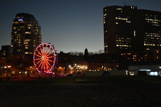 a ferris wheel lit up at night in a city