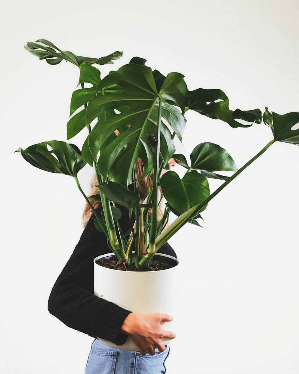 una mujer sosteniendo una planta en maceta en sus manos
