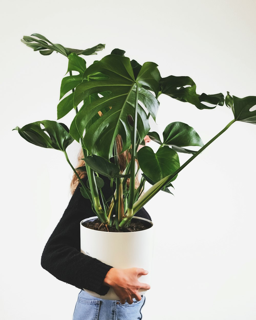 uma mulher segurando um vaso de planta em suas mãos