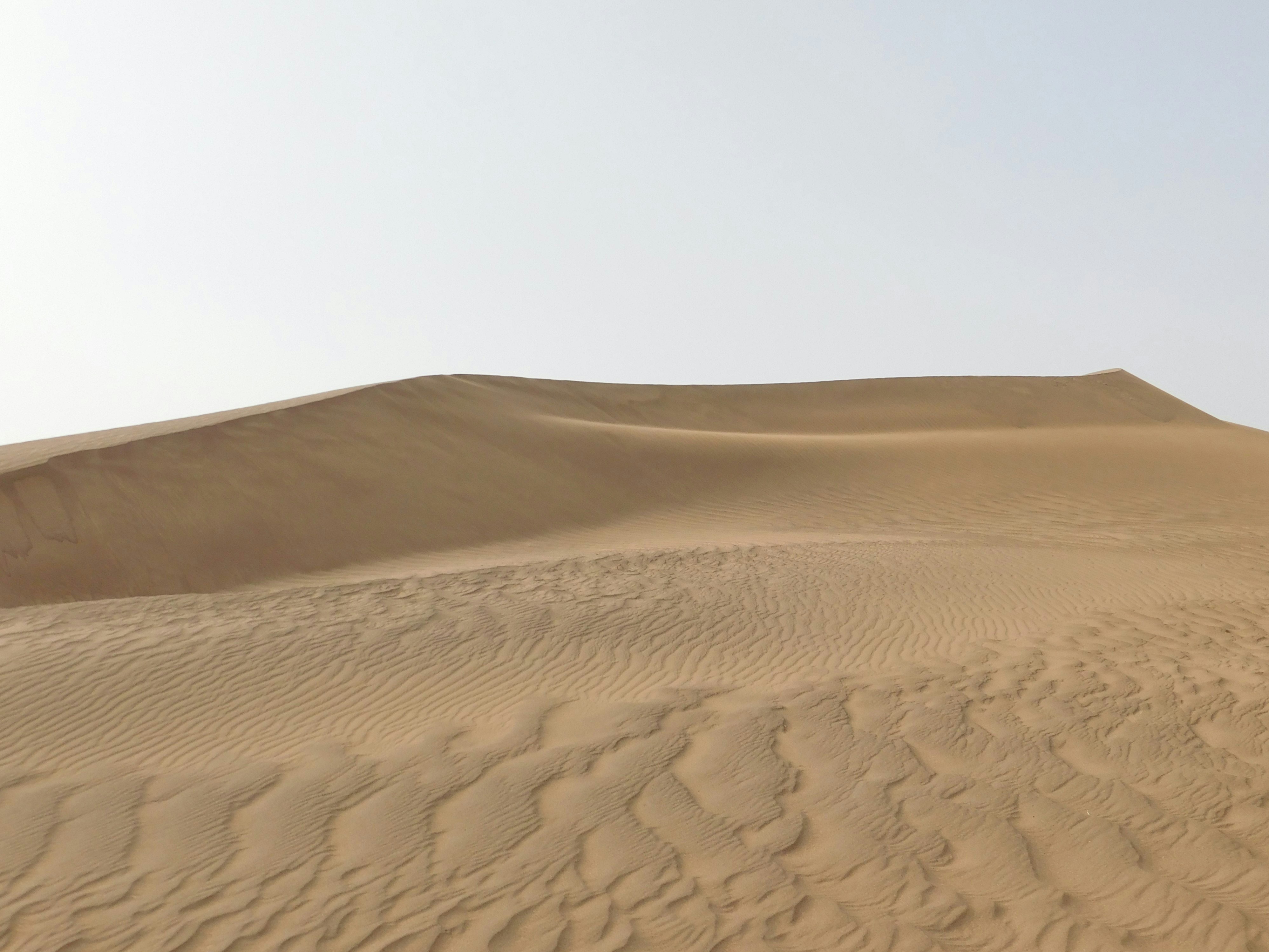 a large sand dune in the middle of a desert, The Moroccan Sahara Desert texture wallpaper and background.