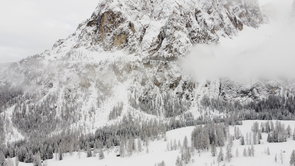 a mountain covered in snow and surrounded by trees