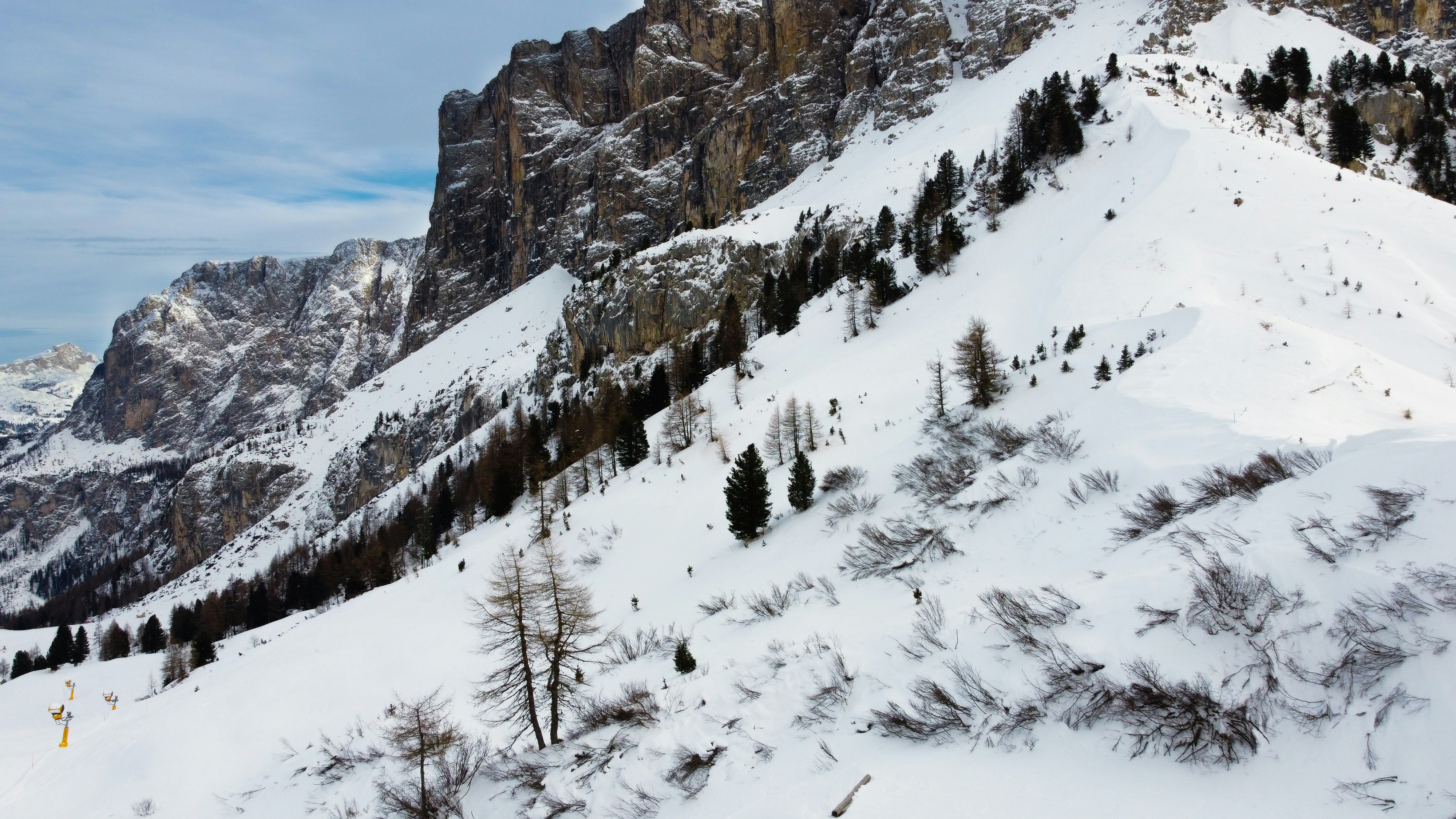 a snow covered mountain with trees on the side
