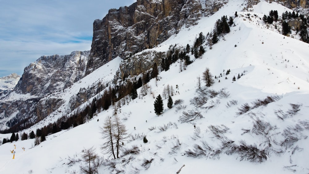 a snow covered mountain with trees on the side