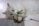 A happy cat playing with a toy from Onpetcare.