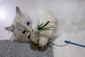 A playful cat batting at a colorful handmade toy shaped like a mouse.