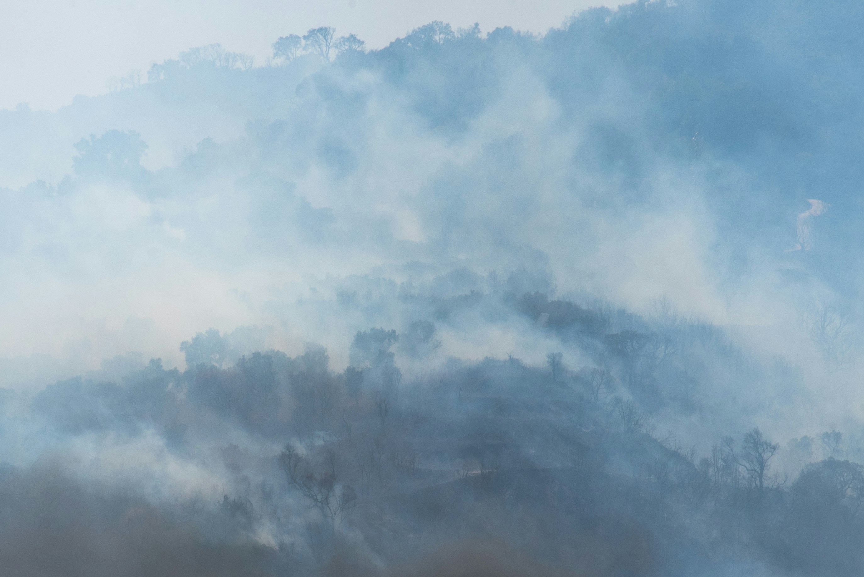 Photo by serenarepice