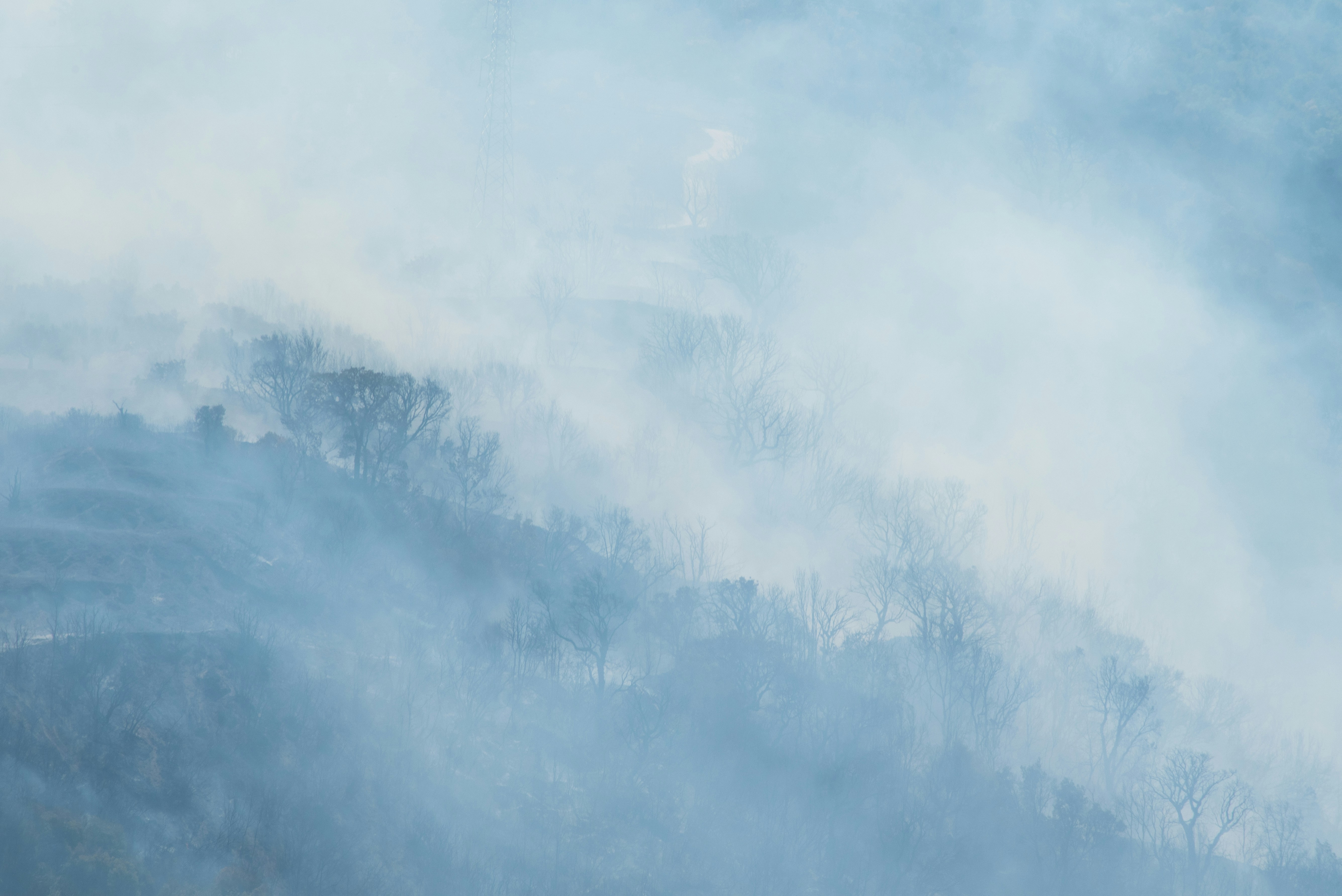 Photo by serenarepice