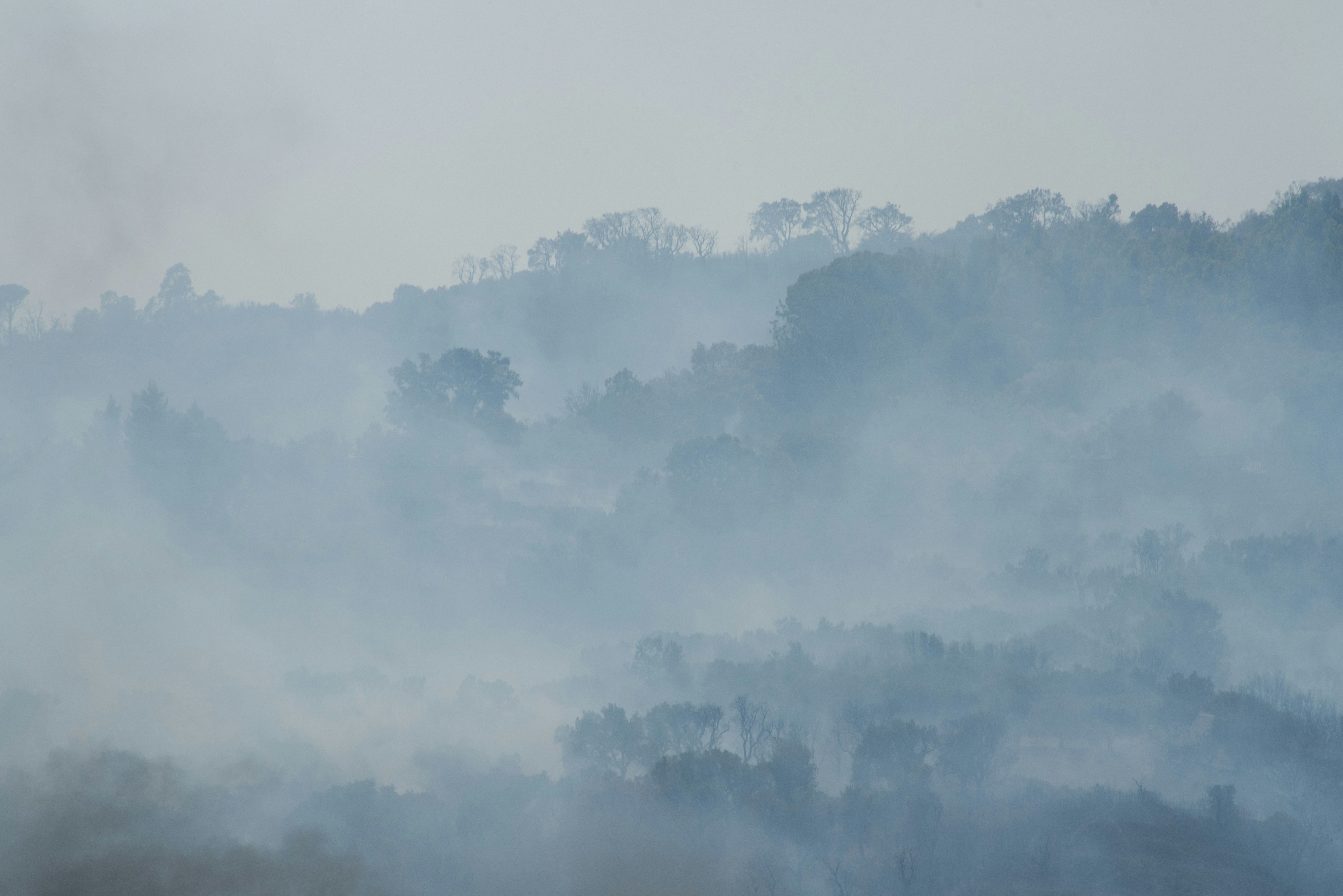 Photo by serenarepice