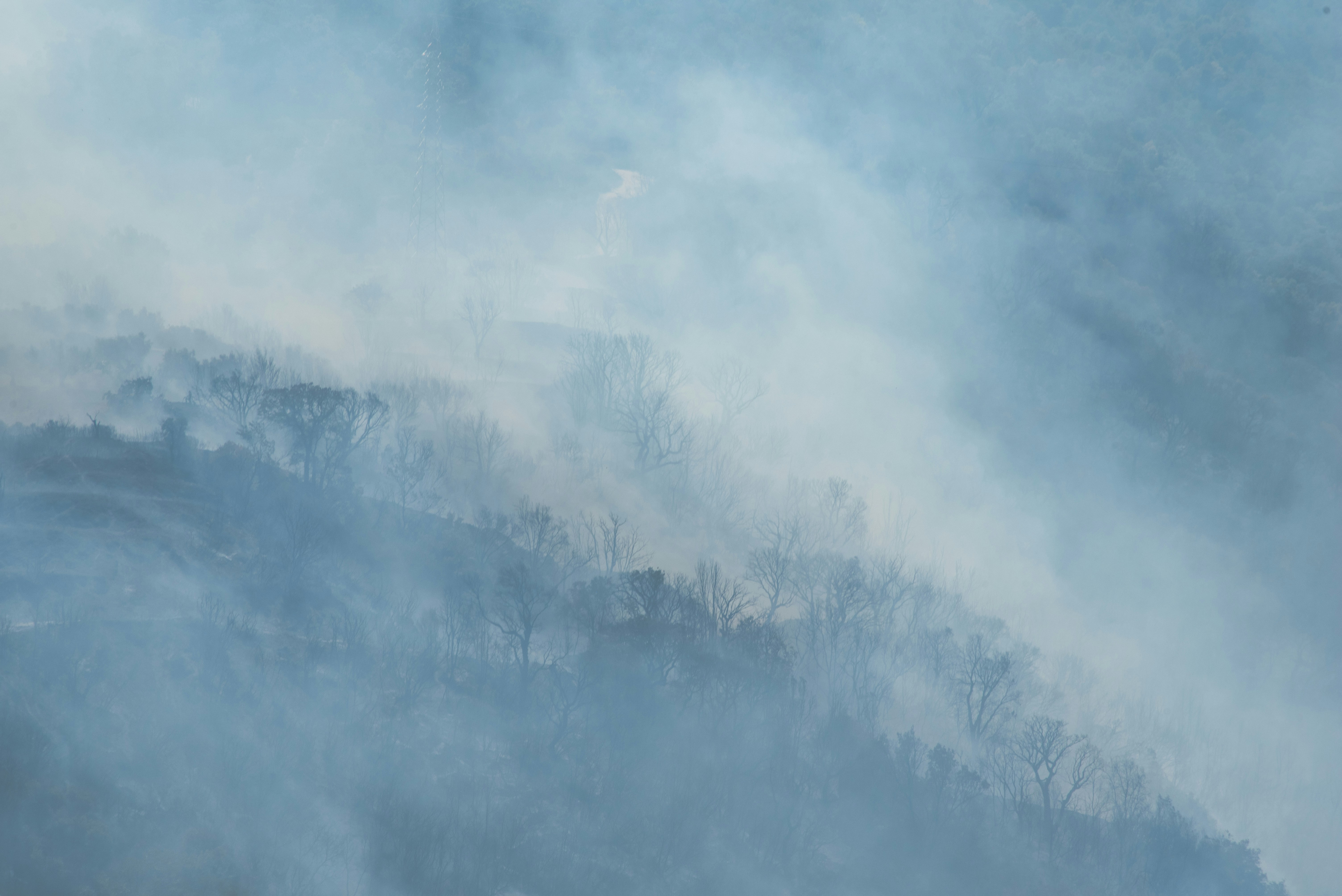 Photo by serenarepice