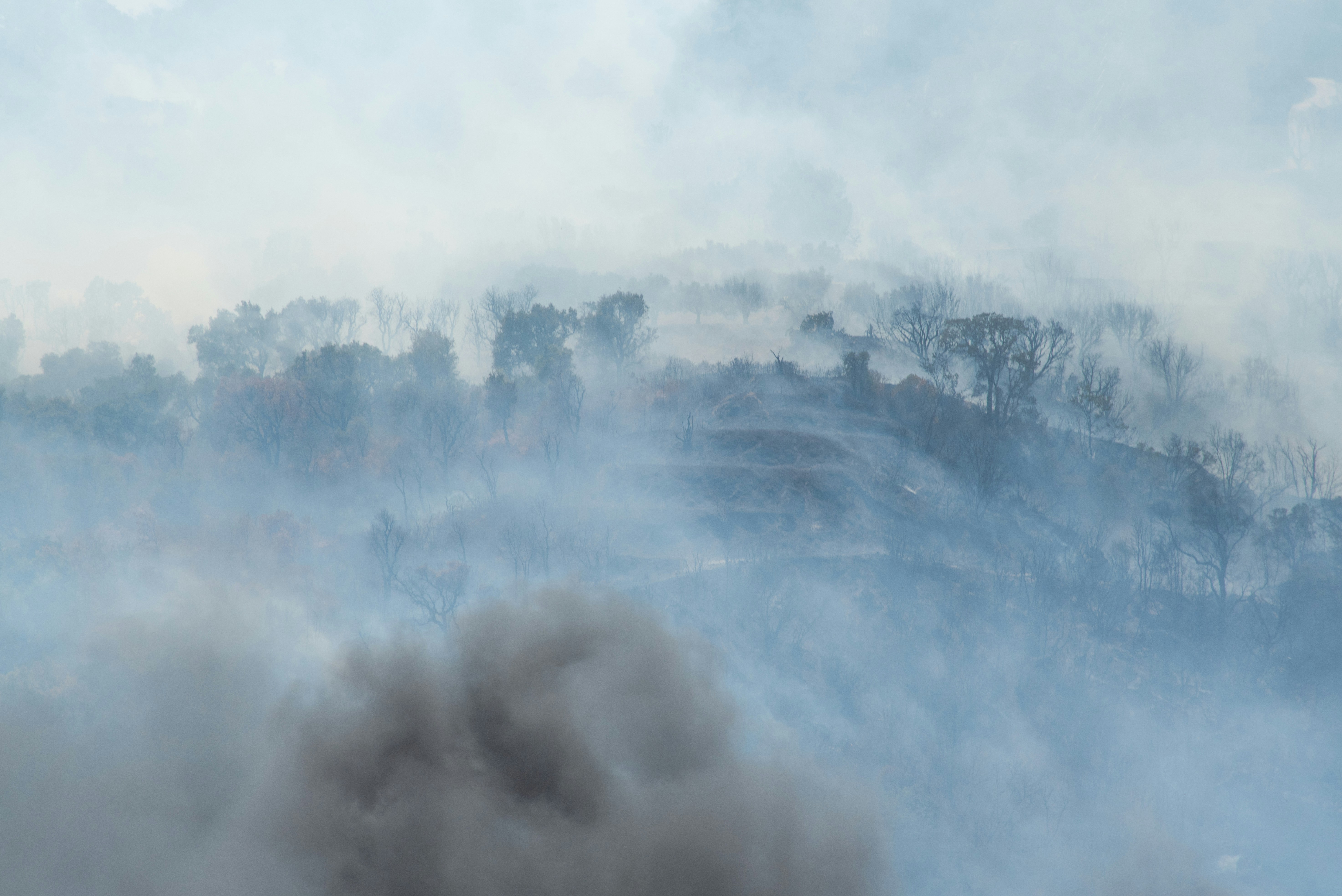 Photo by serenarepice