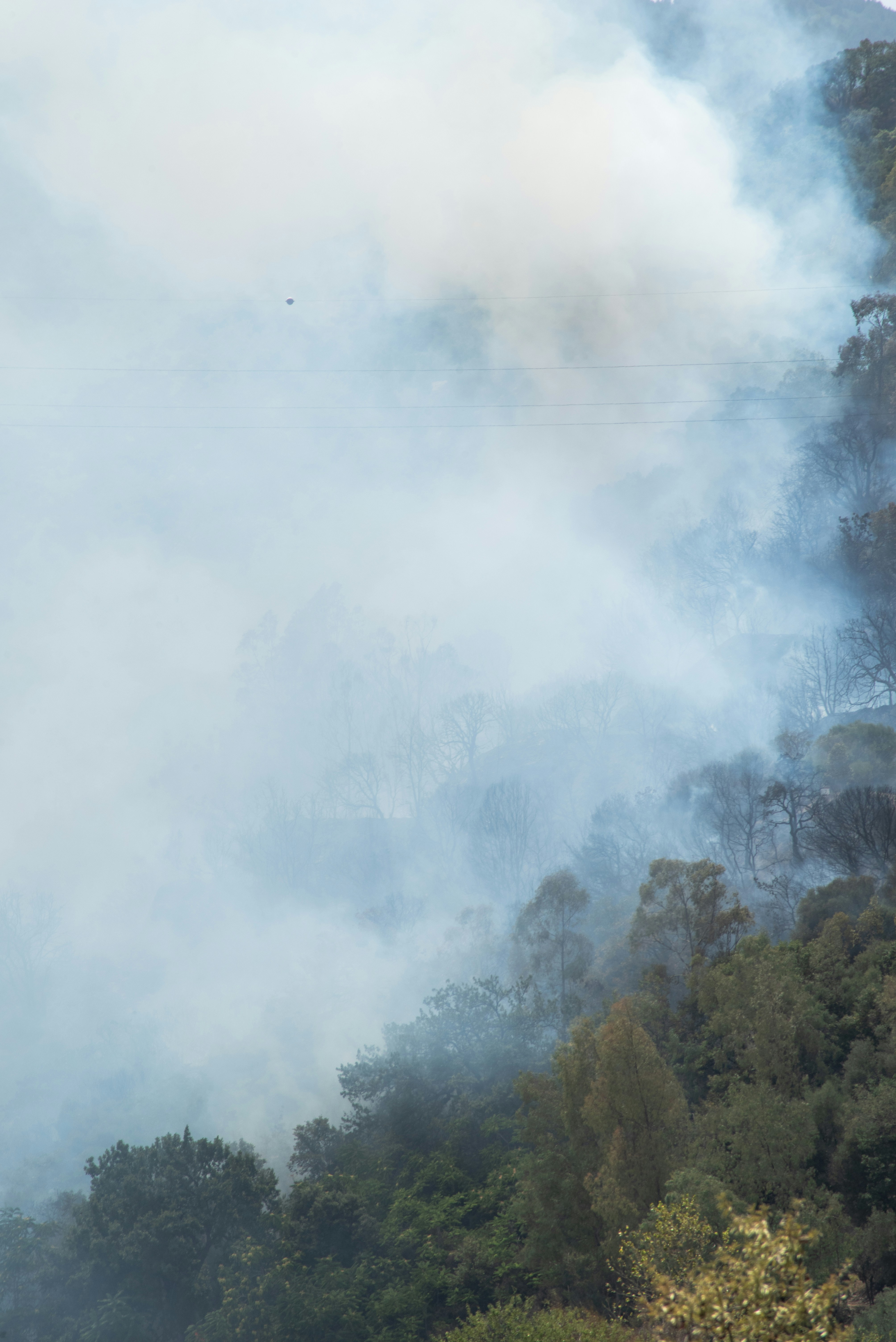 Photo by serenarepice