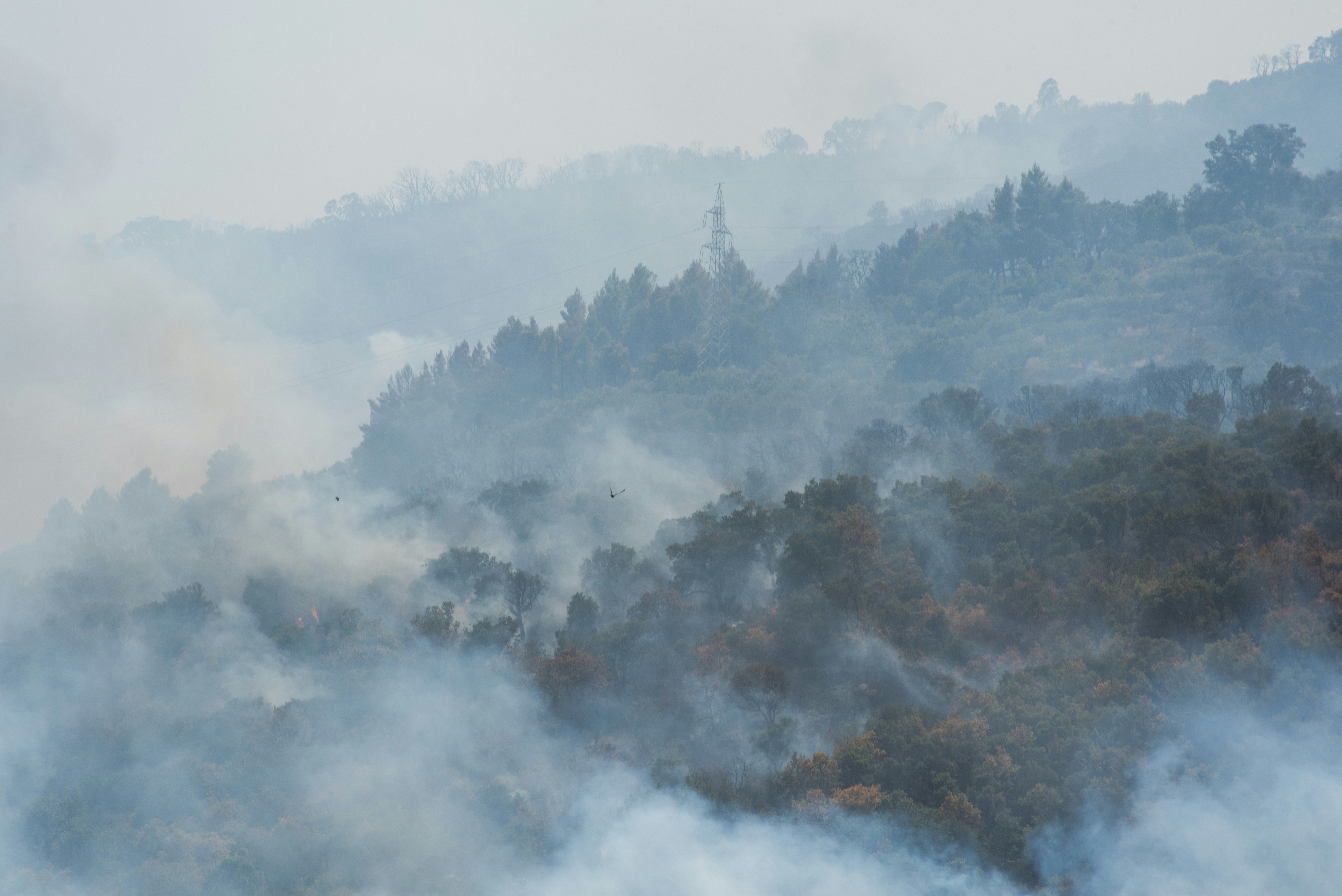 Photo by serenarepice