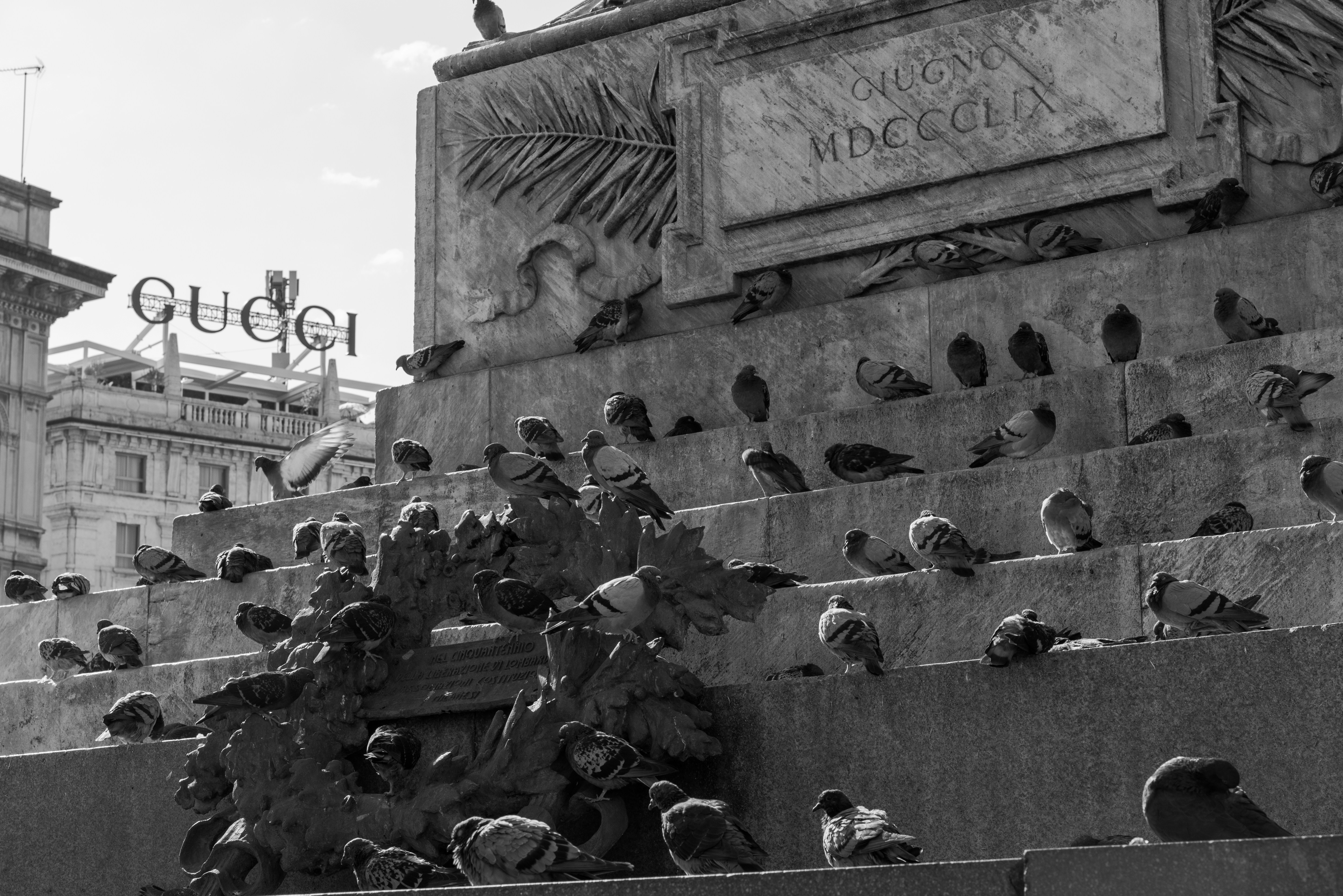 Photo by serenarepice