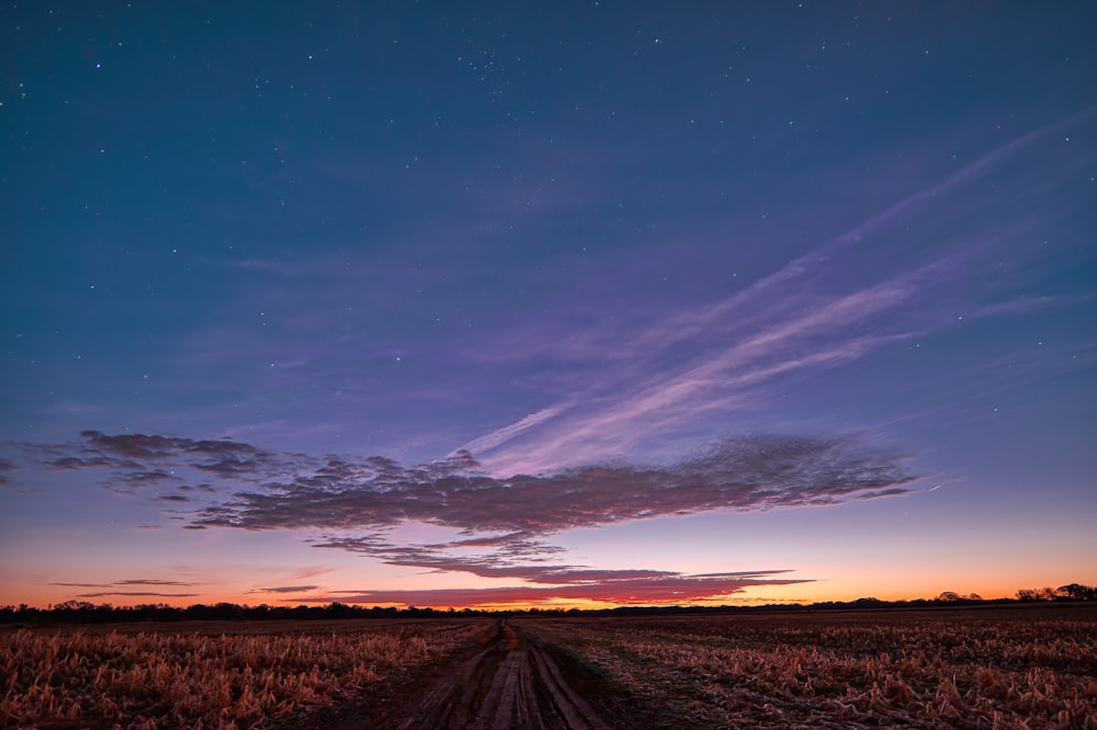 a field with a dirt road in the middle of it