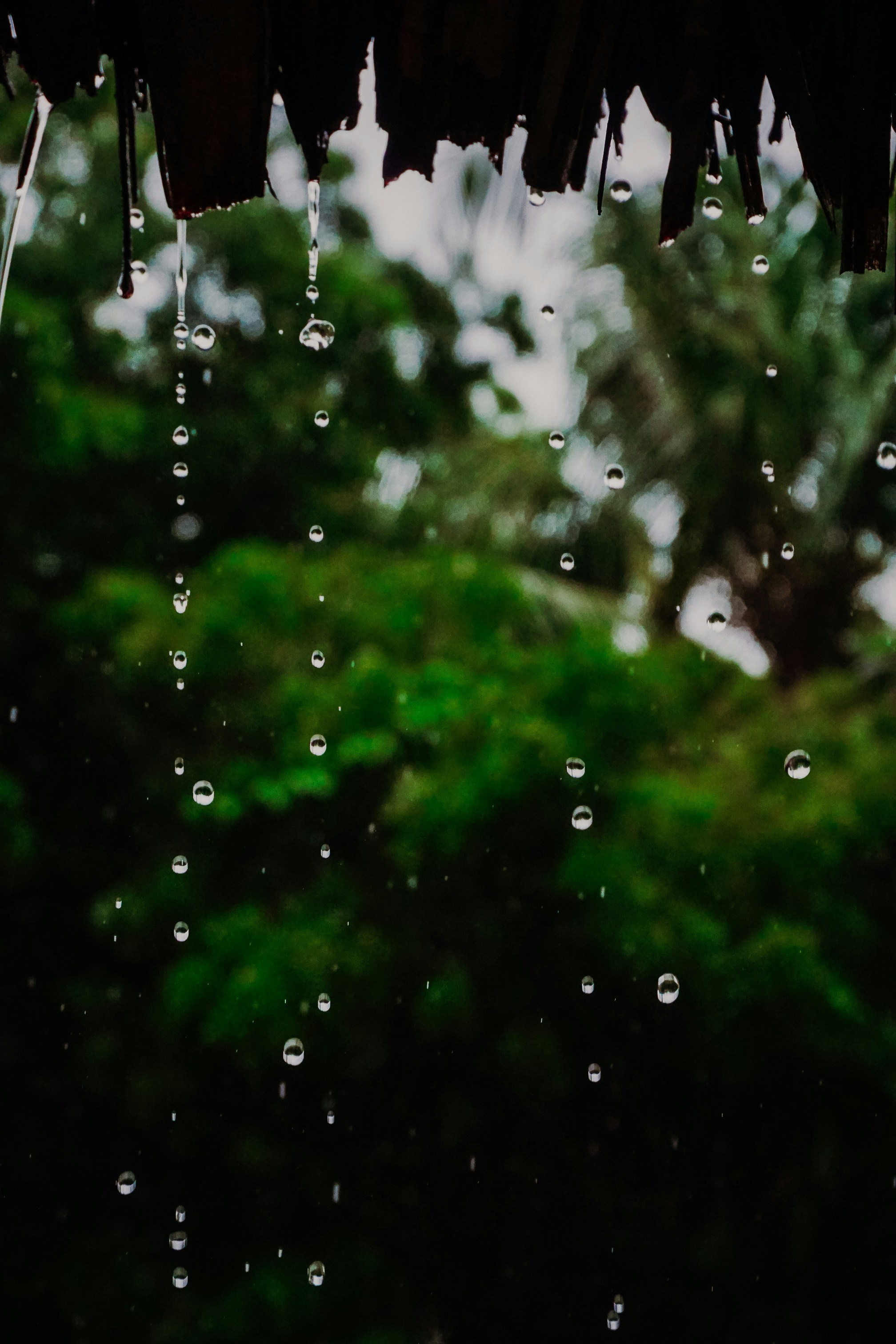 rain is coming down from the roof of a house