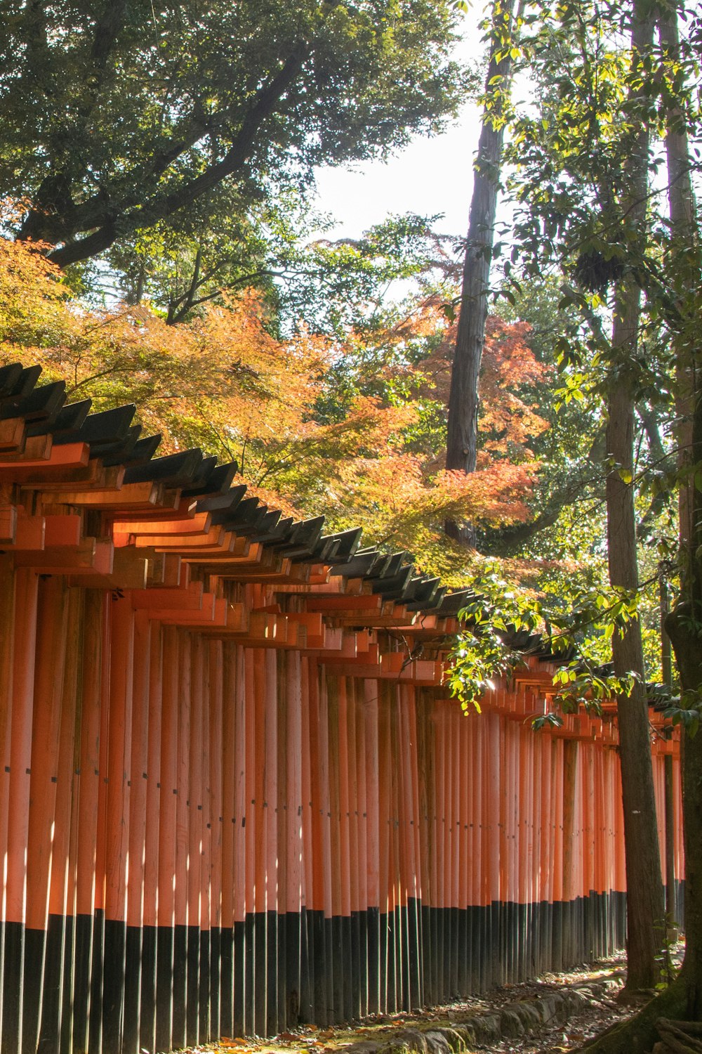 a row of orange and black buildings in a forest