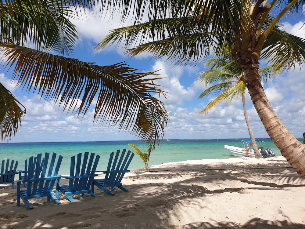 quelques chaises bleues assises au sommet d’une plage de sable