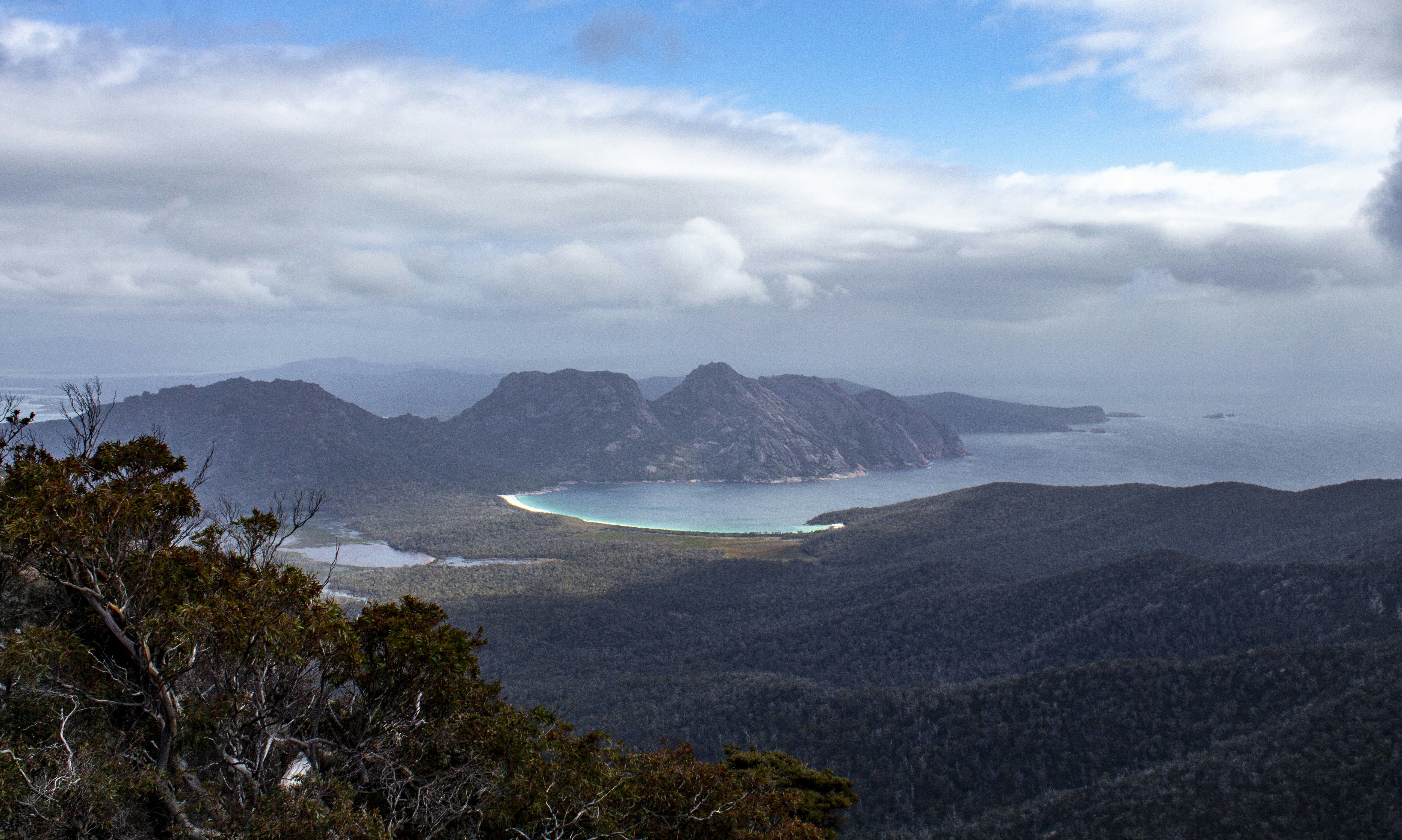 More Than Just a Pretty Face: The Sanctuary's Heart-Wrenching Mission (image credits: unsplash)