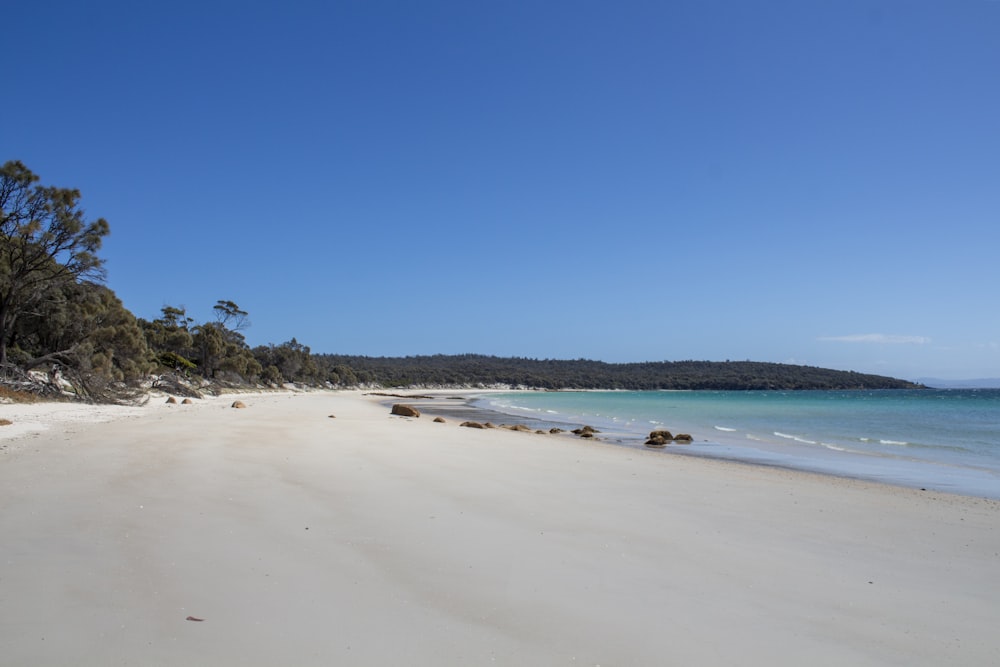 a sandy beach with clear blue water on a sunny day