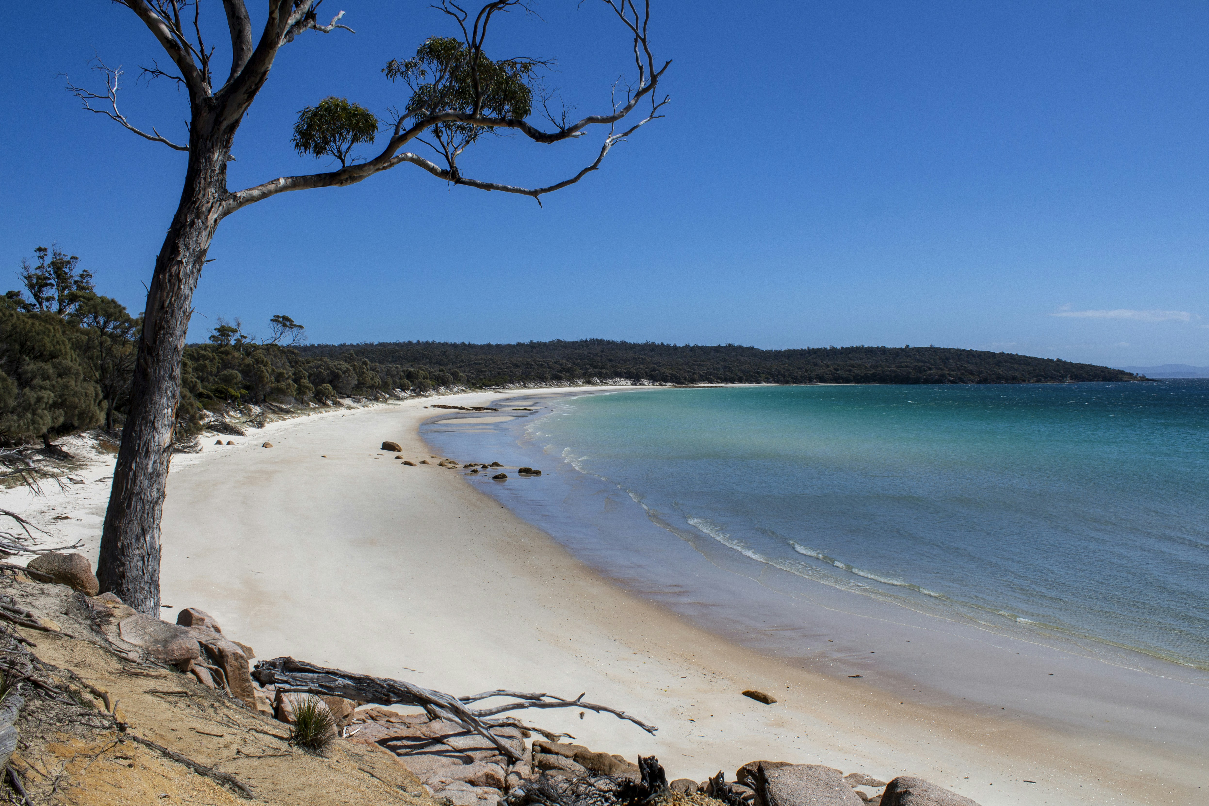 Sandy Bay, Tasmania