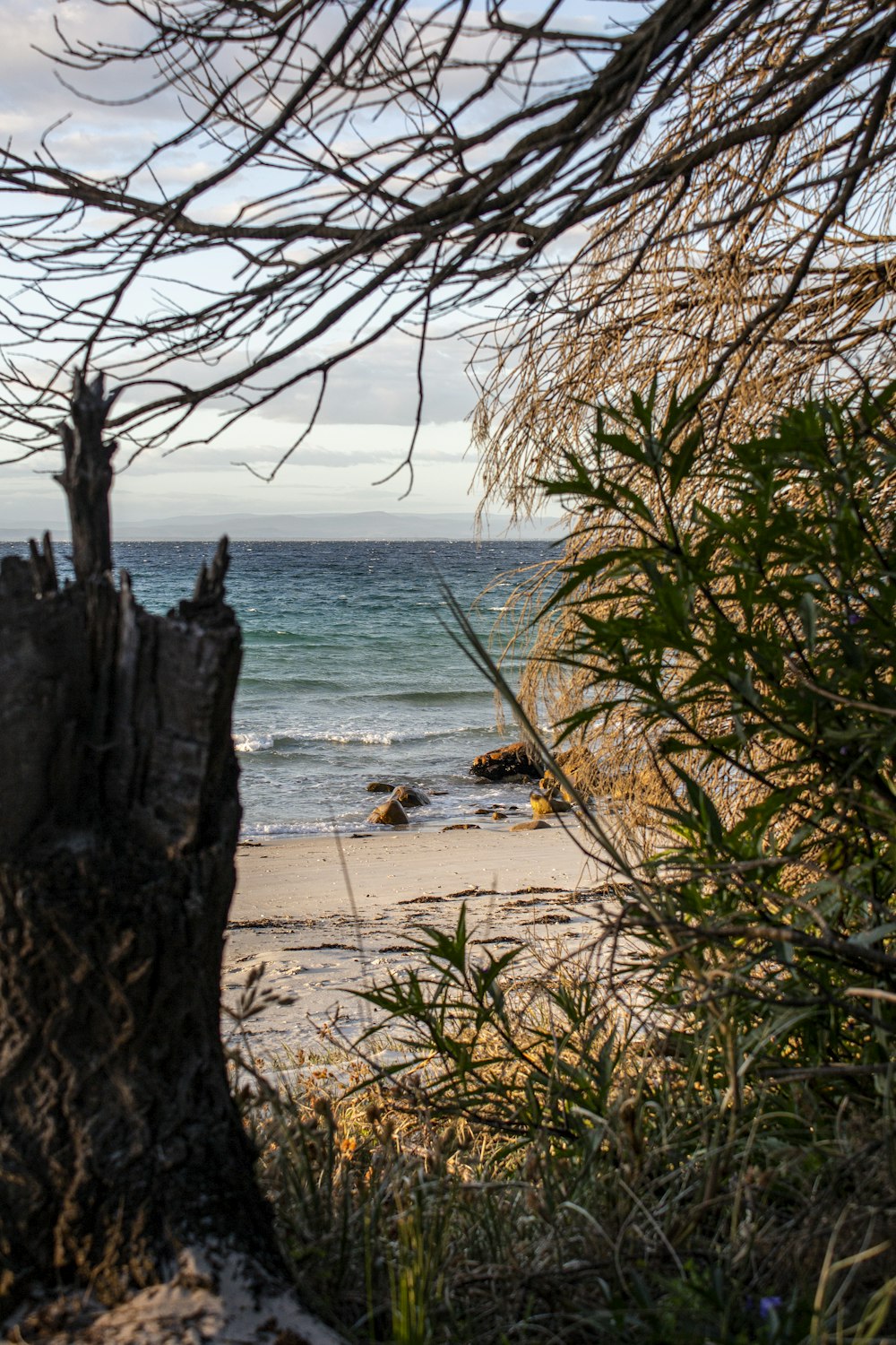 a view of the ocean from a beach