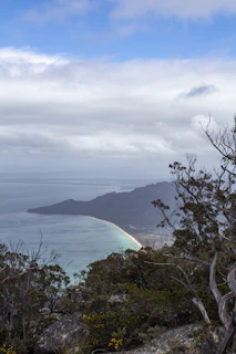 A scenic view of Central Coast beaches.