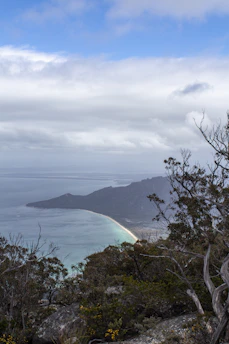 A scenic view of Central Coast beaches.