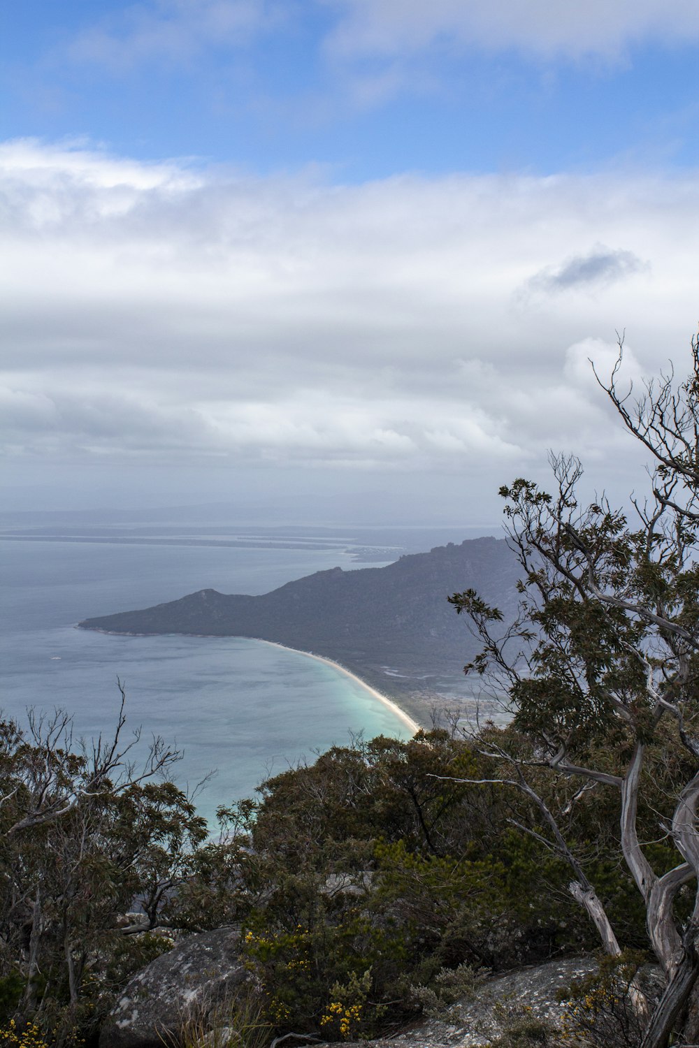 a view of the ocean from a hill