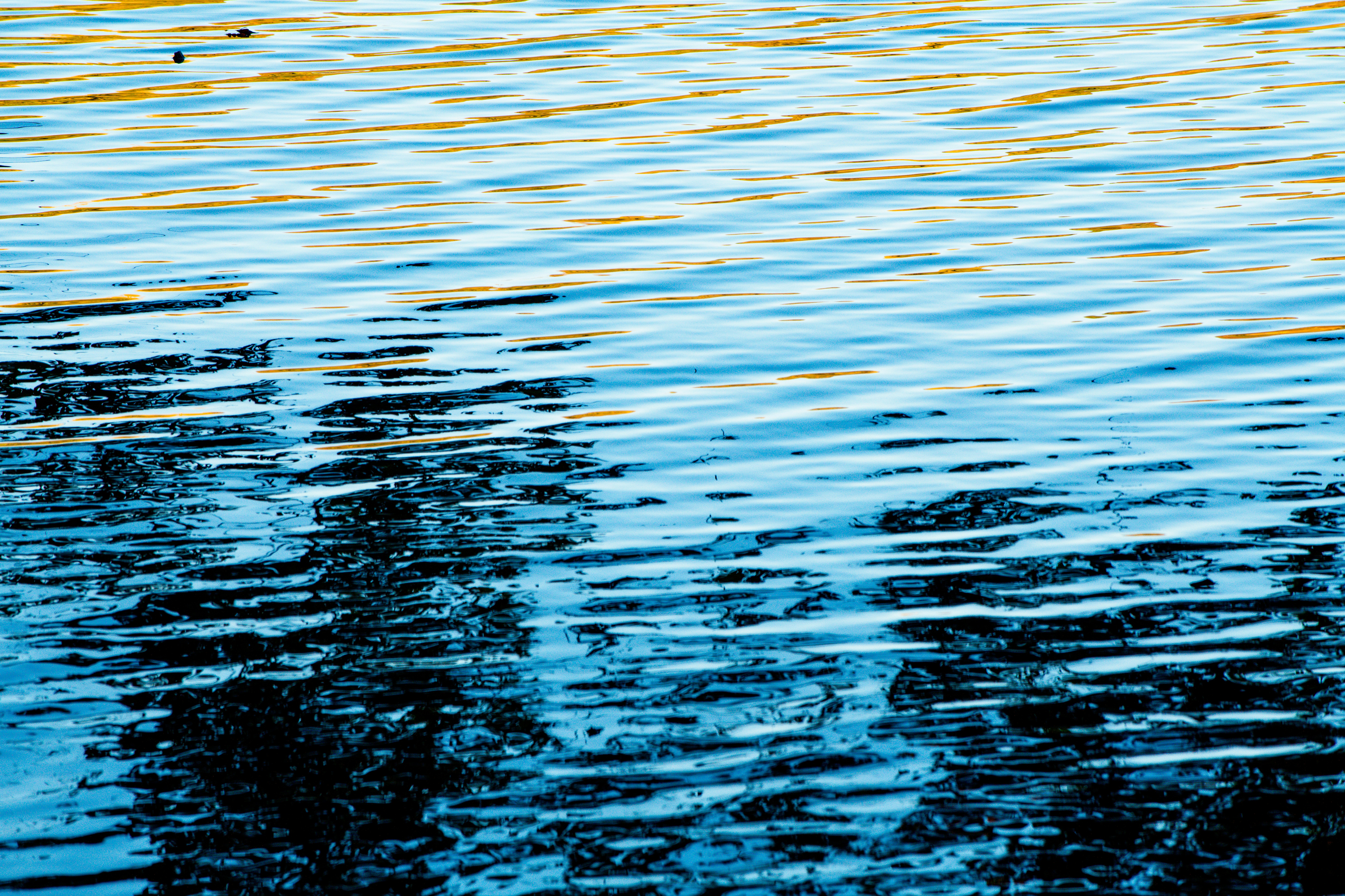 Photo by sriniunsplash