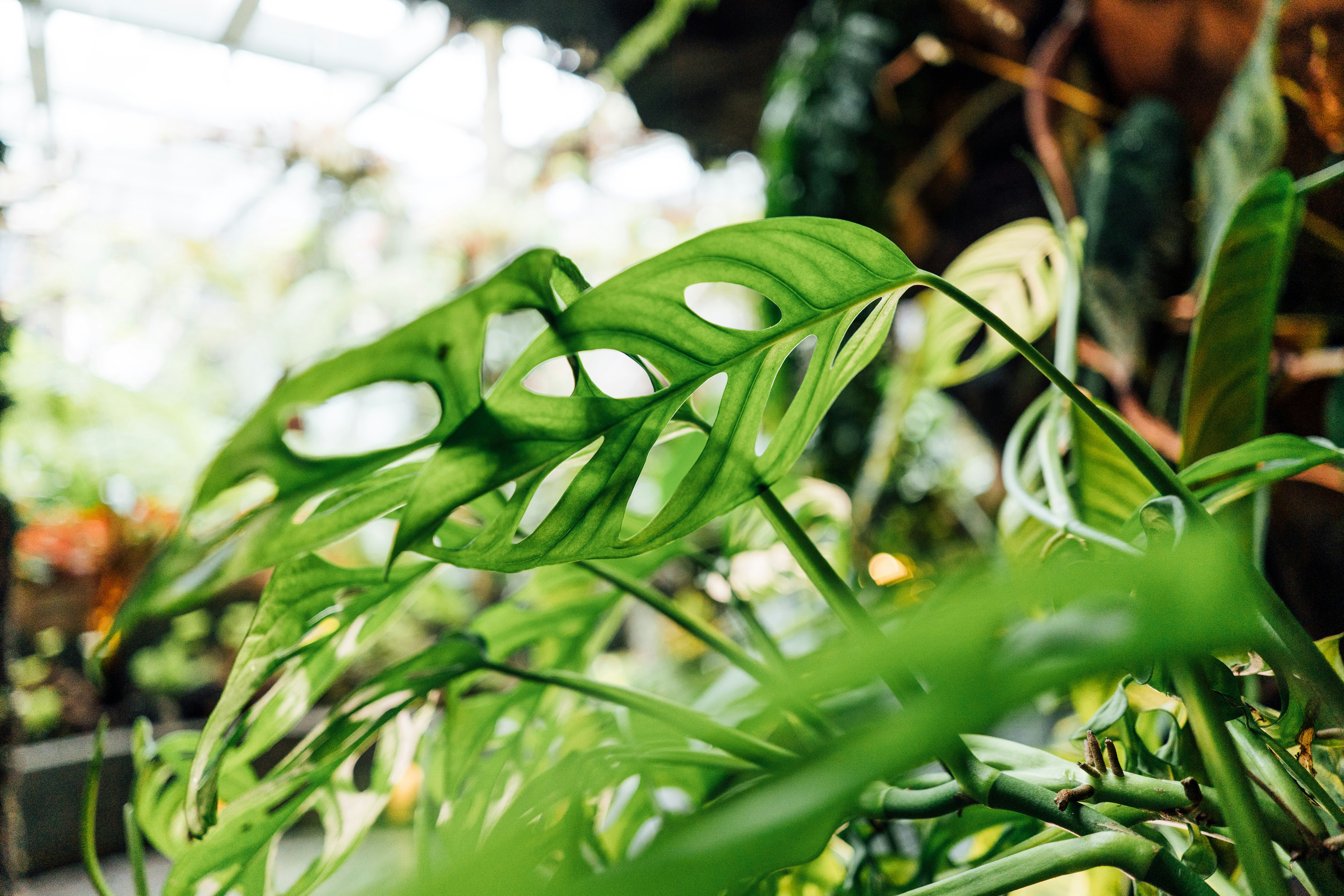 Photo by chuttersnap