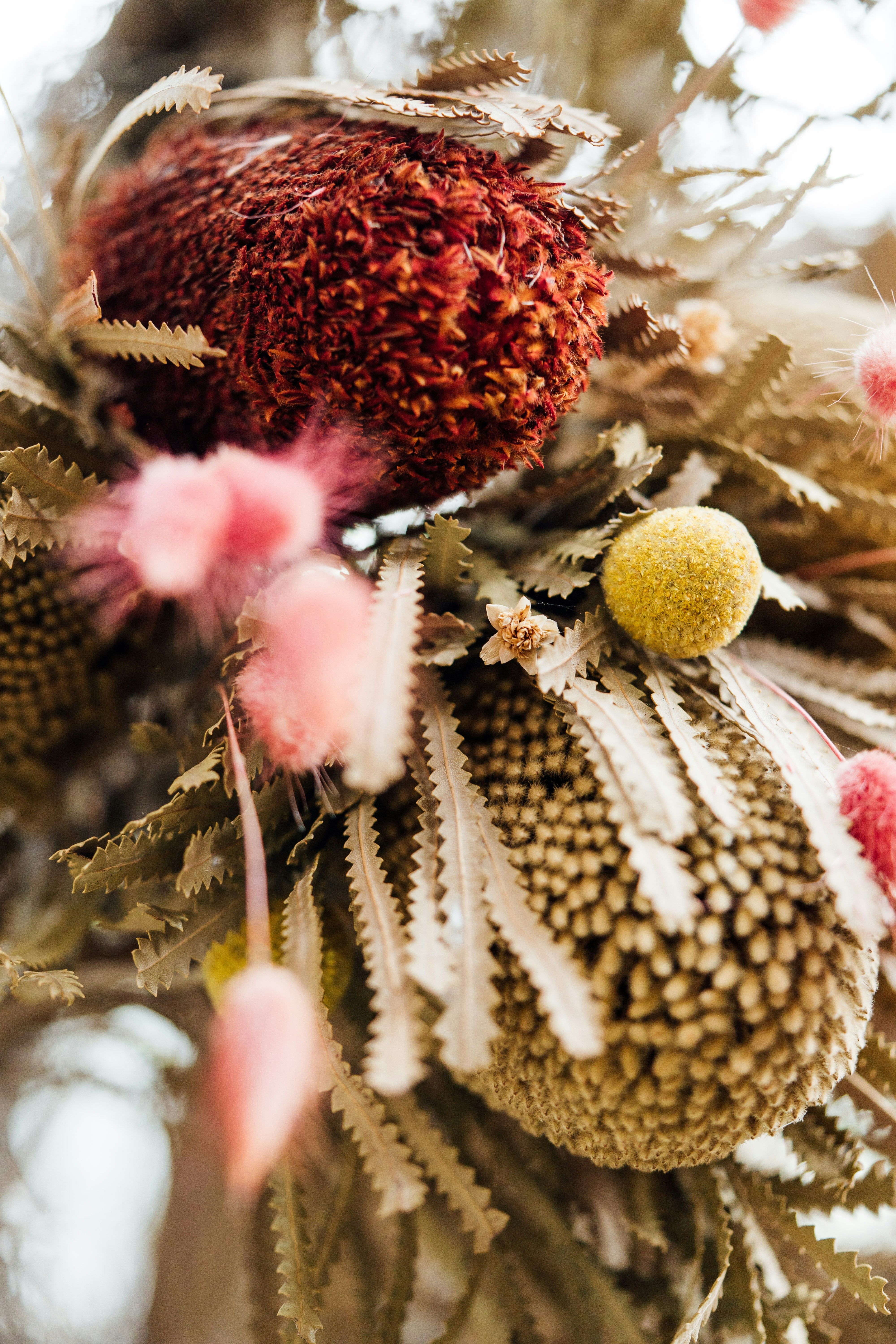 Photo by chuttersnap