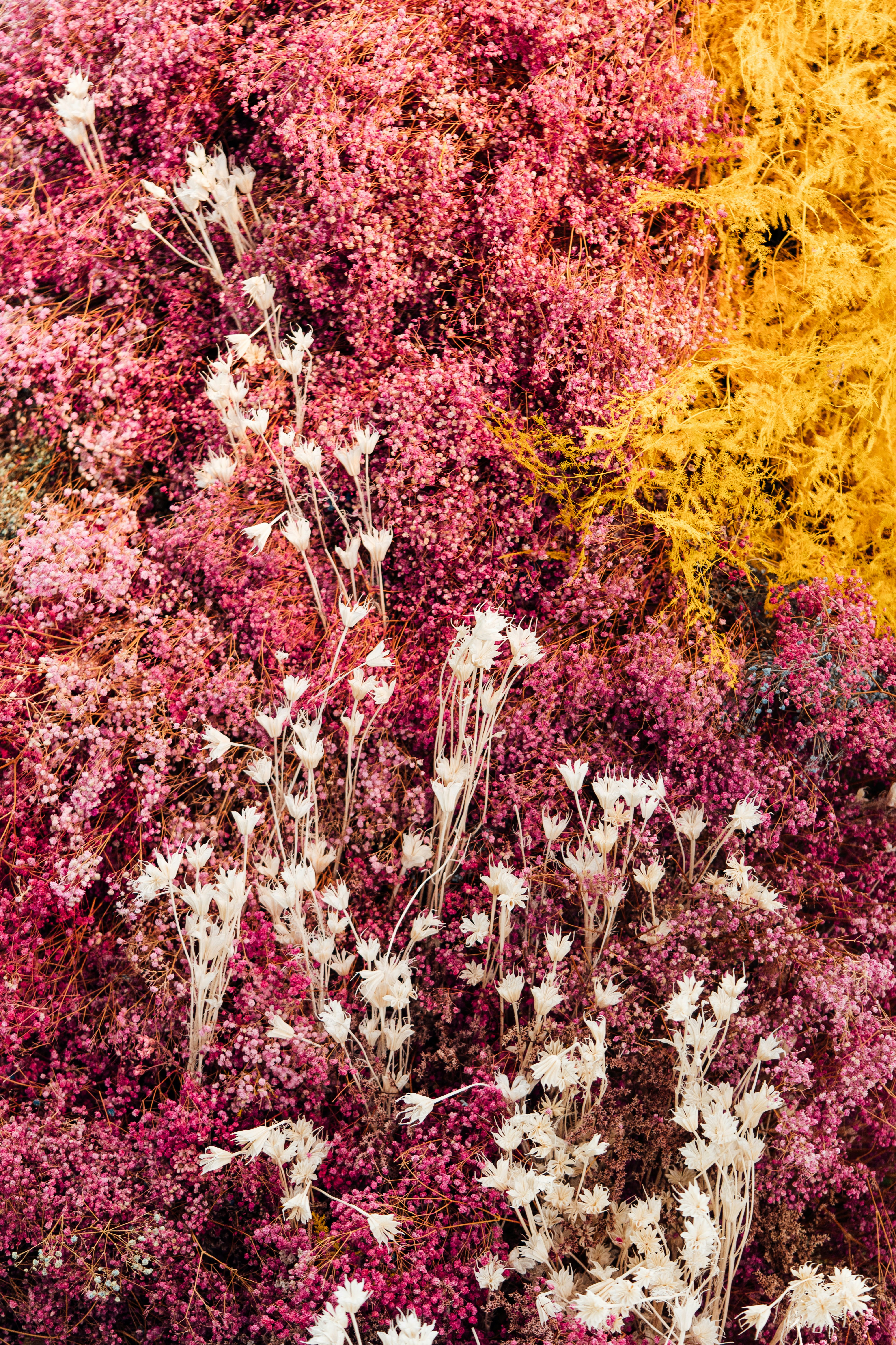 Photo by chuttersnap