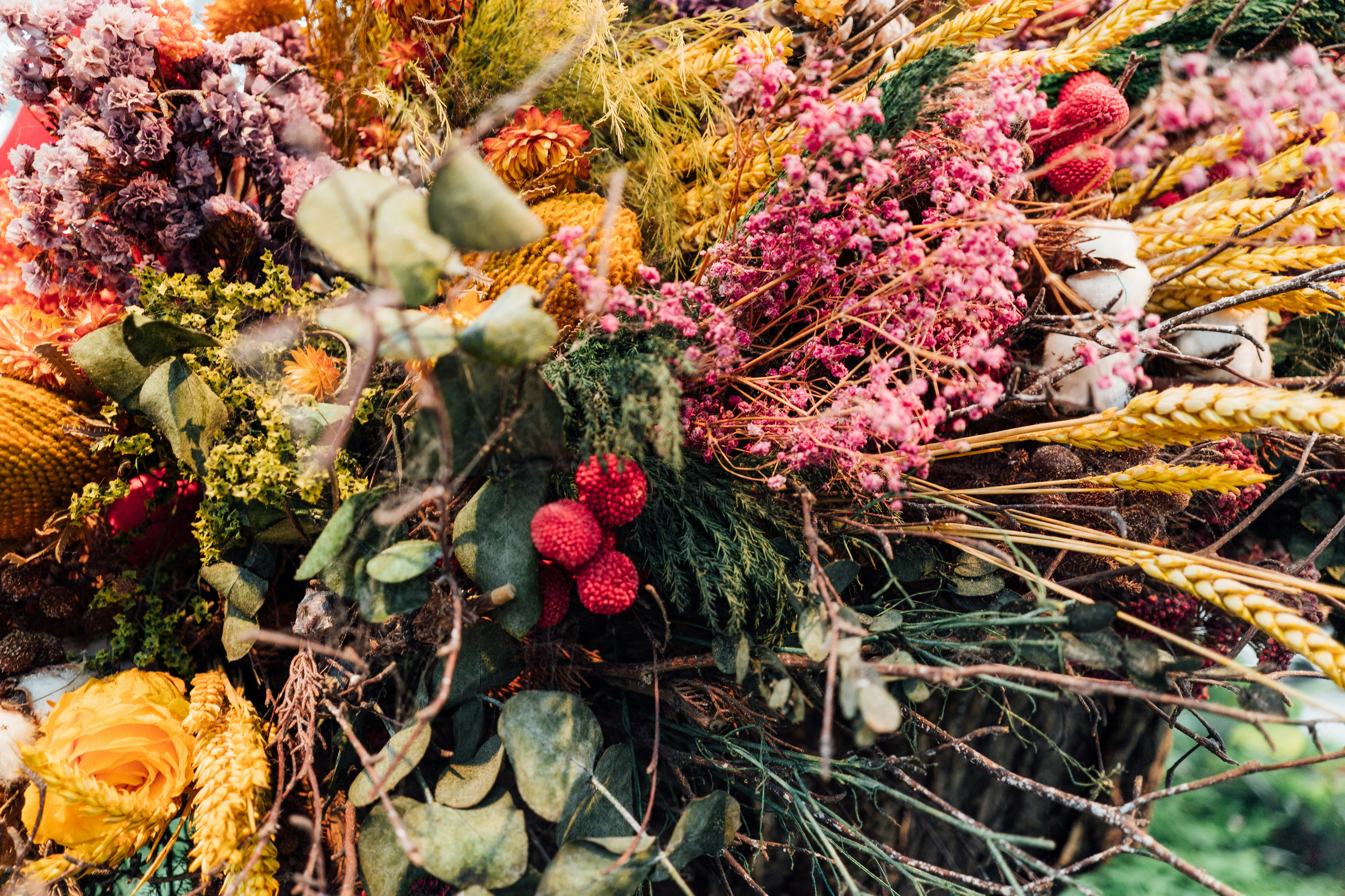 Photo by chuttersnap