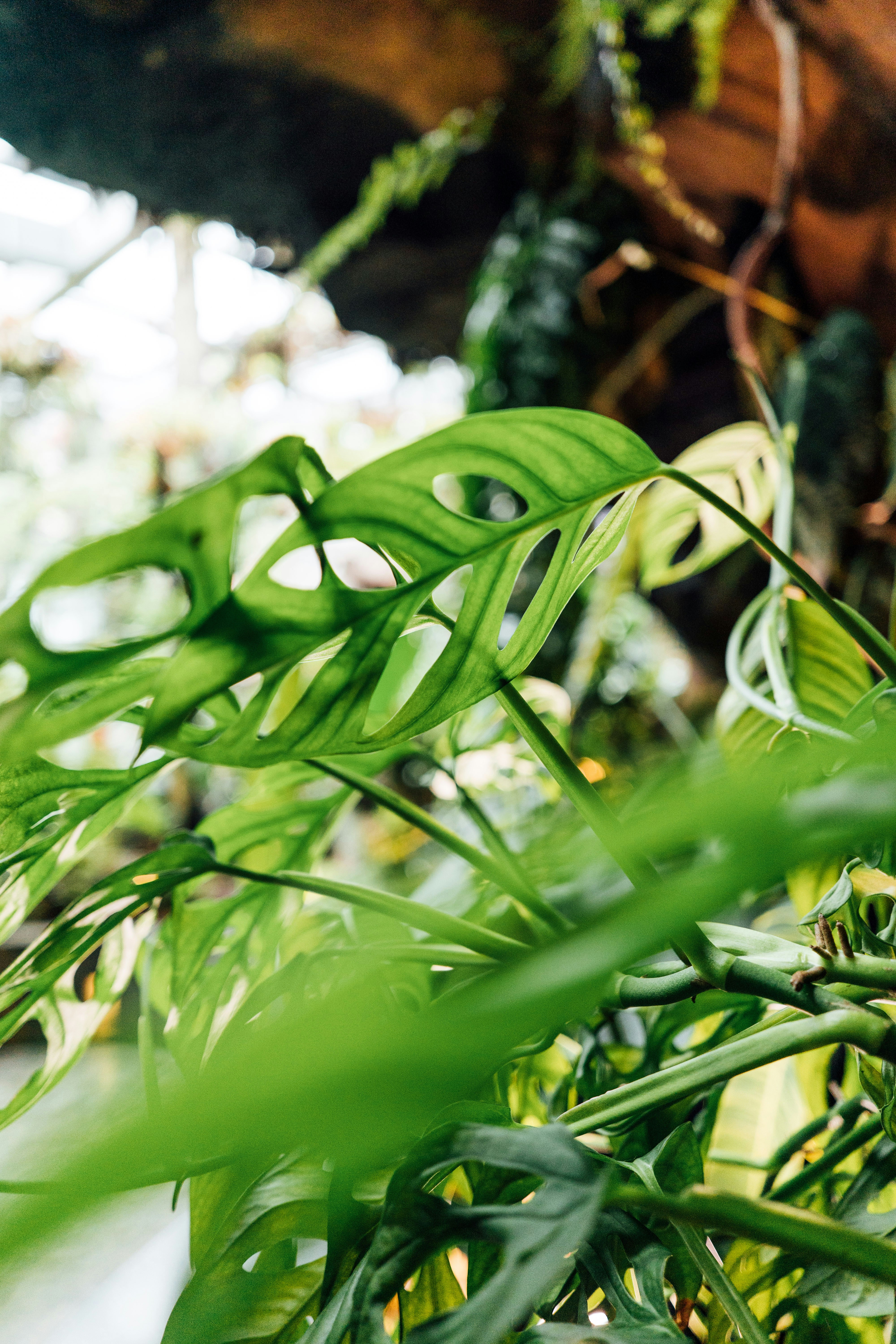 Photo by chuttersnap