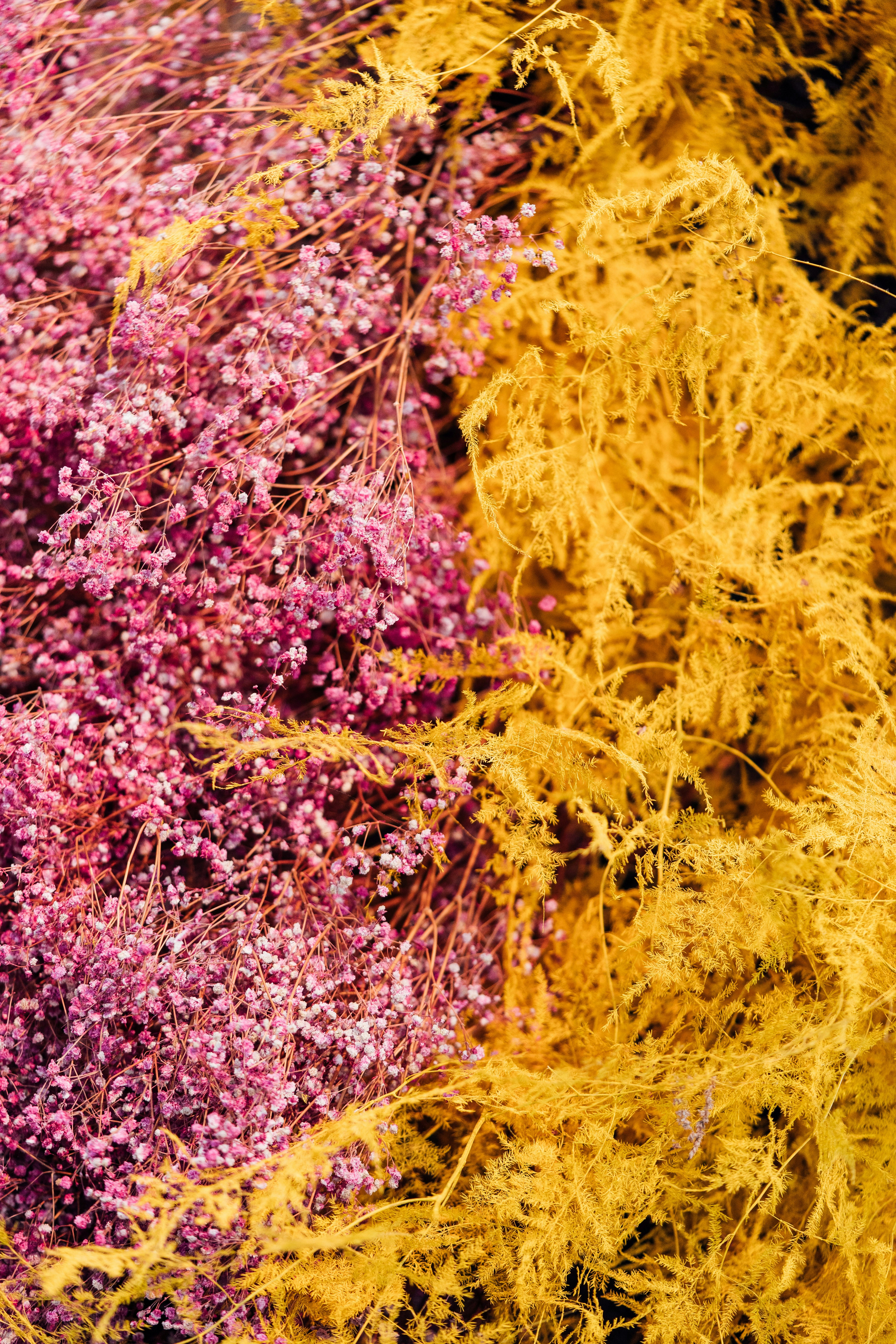 Photo by chuttersnap