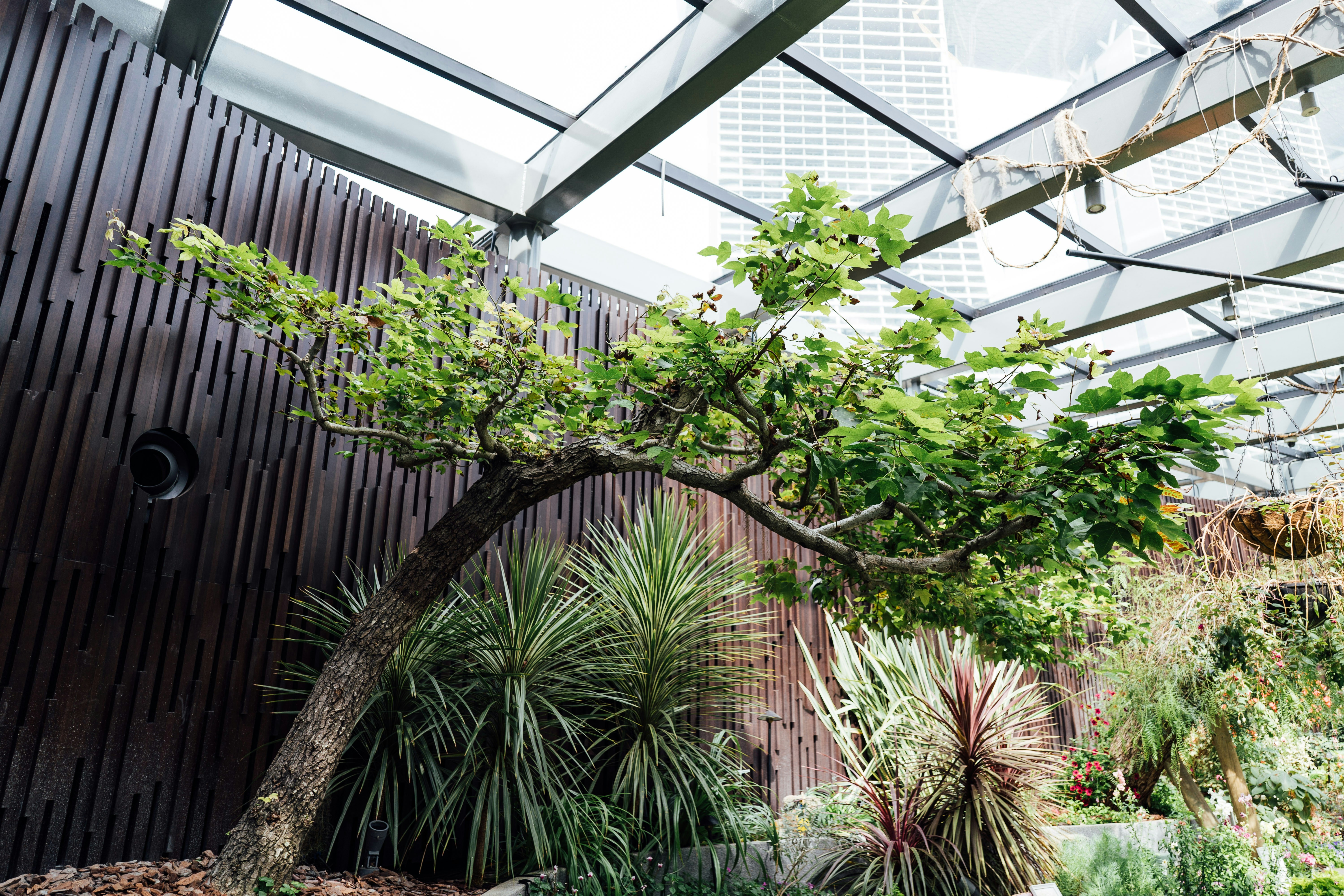 Set Hidroponik Urban