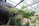 A lush, green indoor garden with a variety of plants and a prominently curved tree. The environment is urban with a modern metal and glass roof structure overhead. The background features a dark wooden panel wall adding a contrasting element to the abundant greenery.