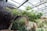 A lush, green indoor garden with a variety of plants and a prominently curved tree. The environment is urban with a modern metal and glass roof structure overhead. The background features a dark wooden panel wall adding a contrasting element to the abundant greenery.