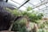 A lush, green indoor garden with a variety of plants and a prominently curved tree. The environment is urban with a modern metal and glass roof structure overhead. The background features a dark wooden panel wall adding a contrasting element to the abundant greenery.