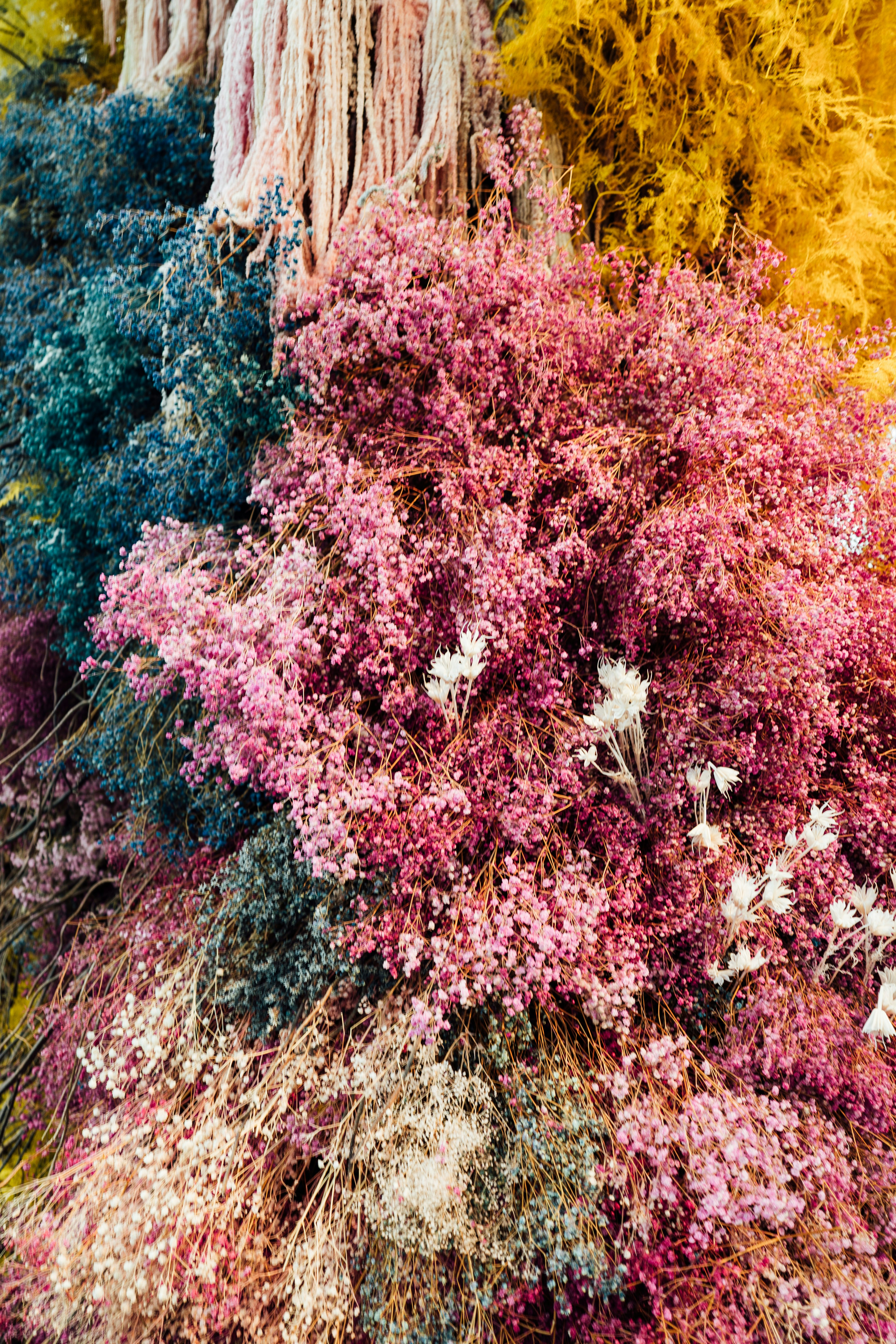 Photo by chuttersnap