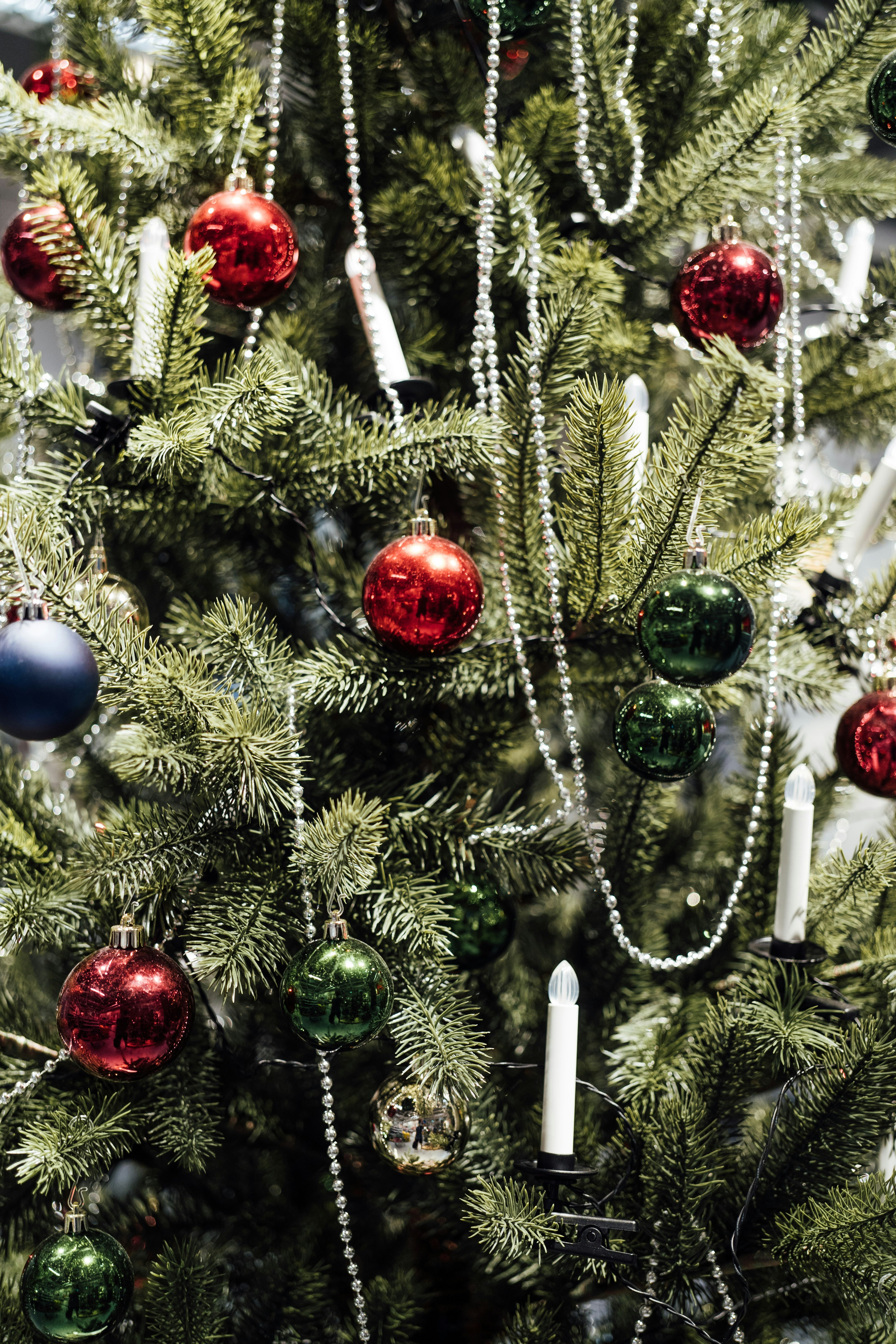 Photo by chuttersnap