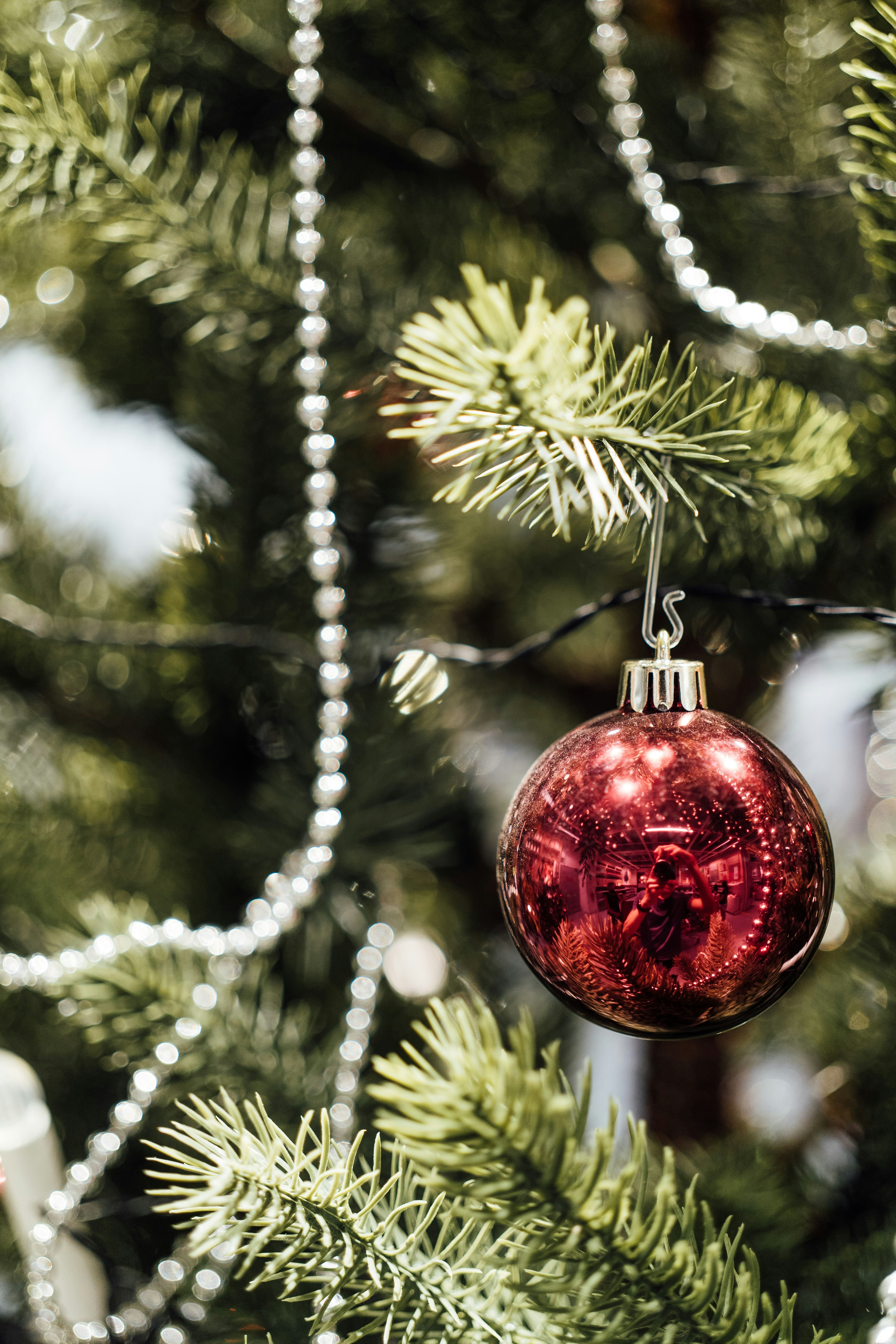 Photo by chuttersnap