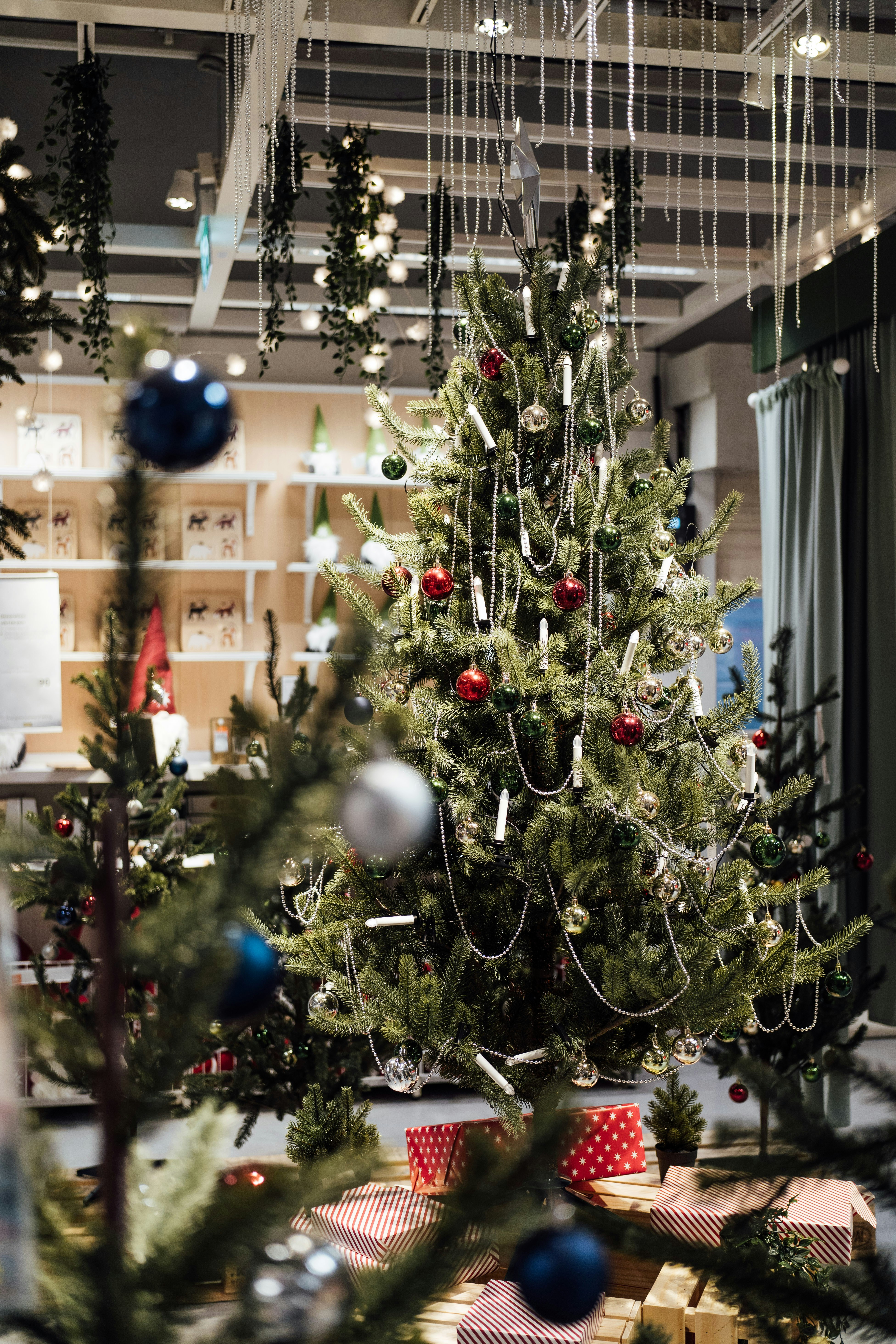 Photo by chuttersnap