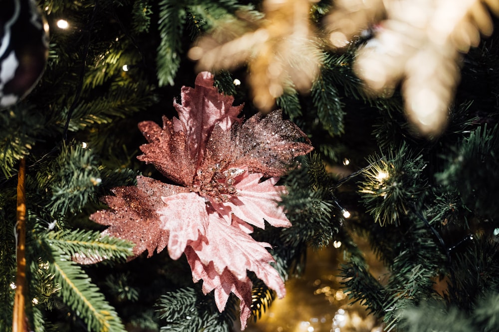 a christmas tree with a pink poinsettia ornament hanging from it