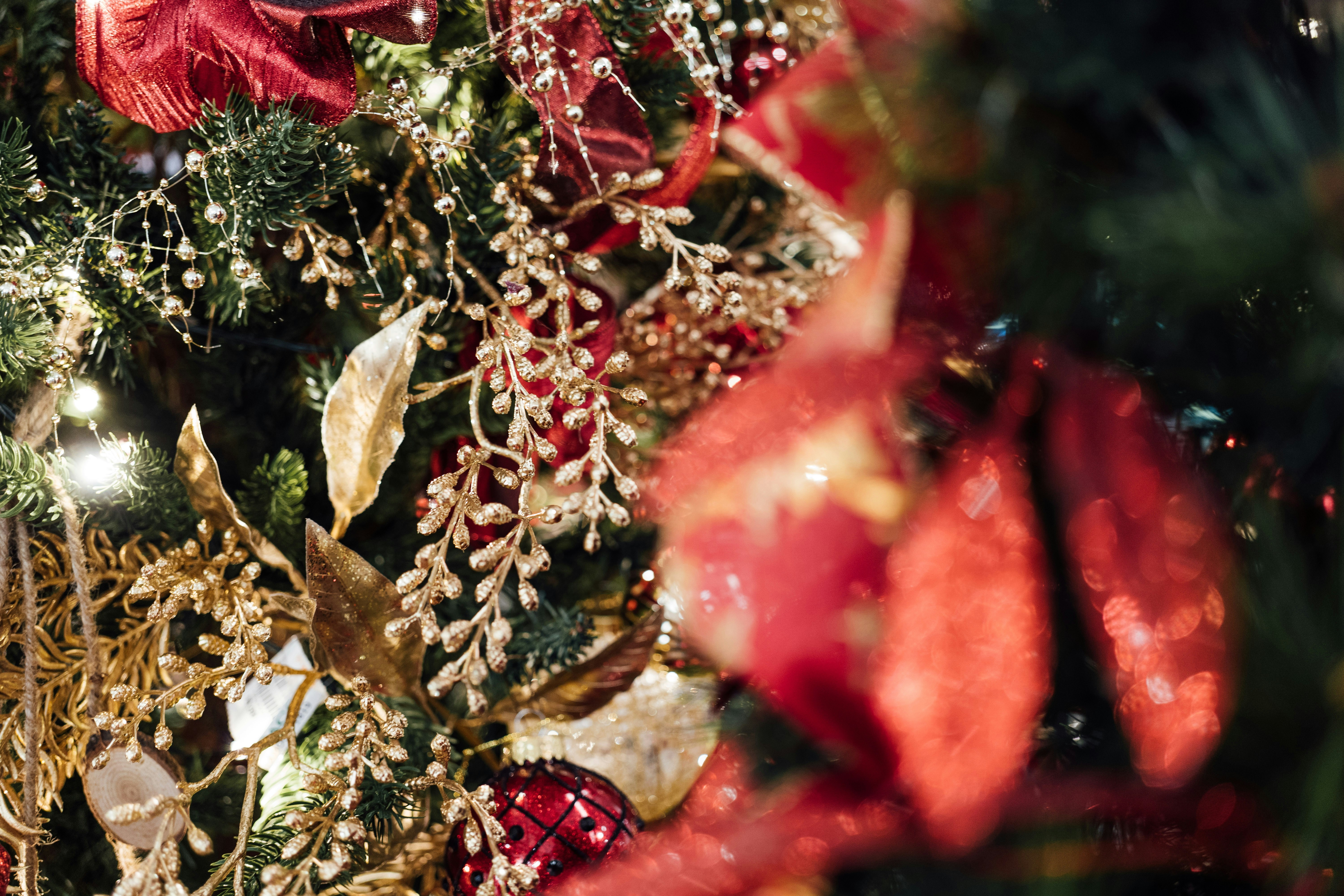 Photo by chuttersnap