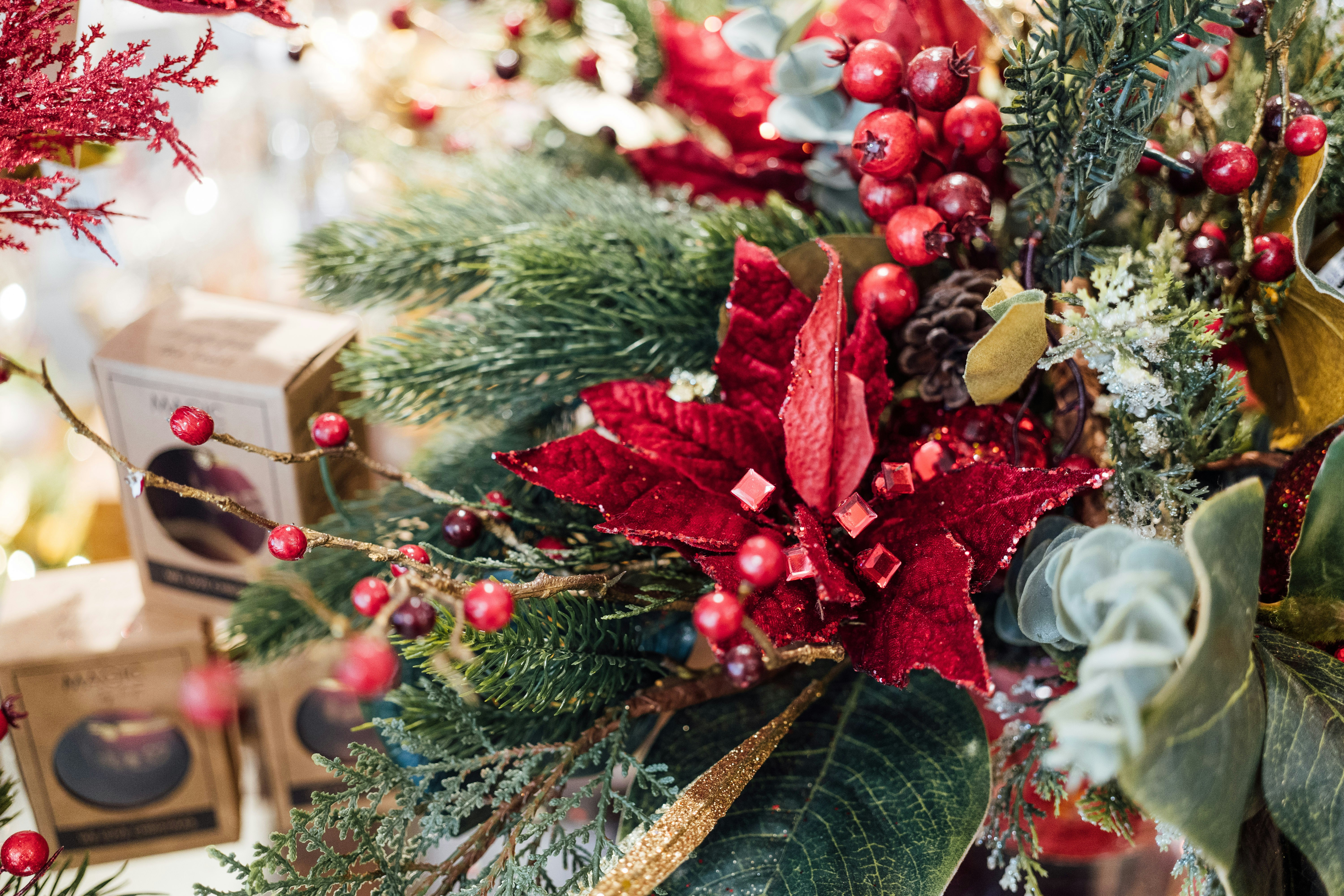 Photo by chuttersnap