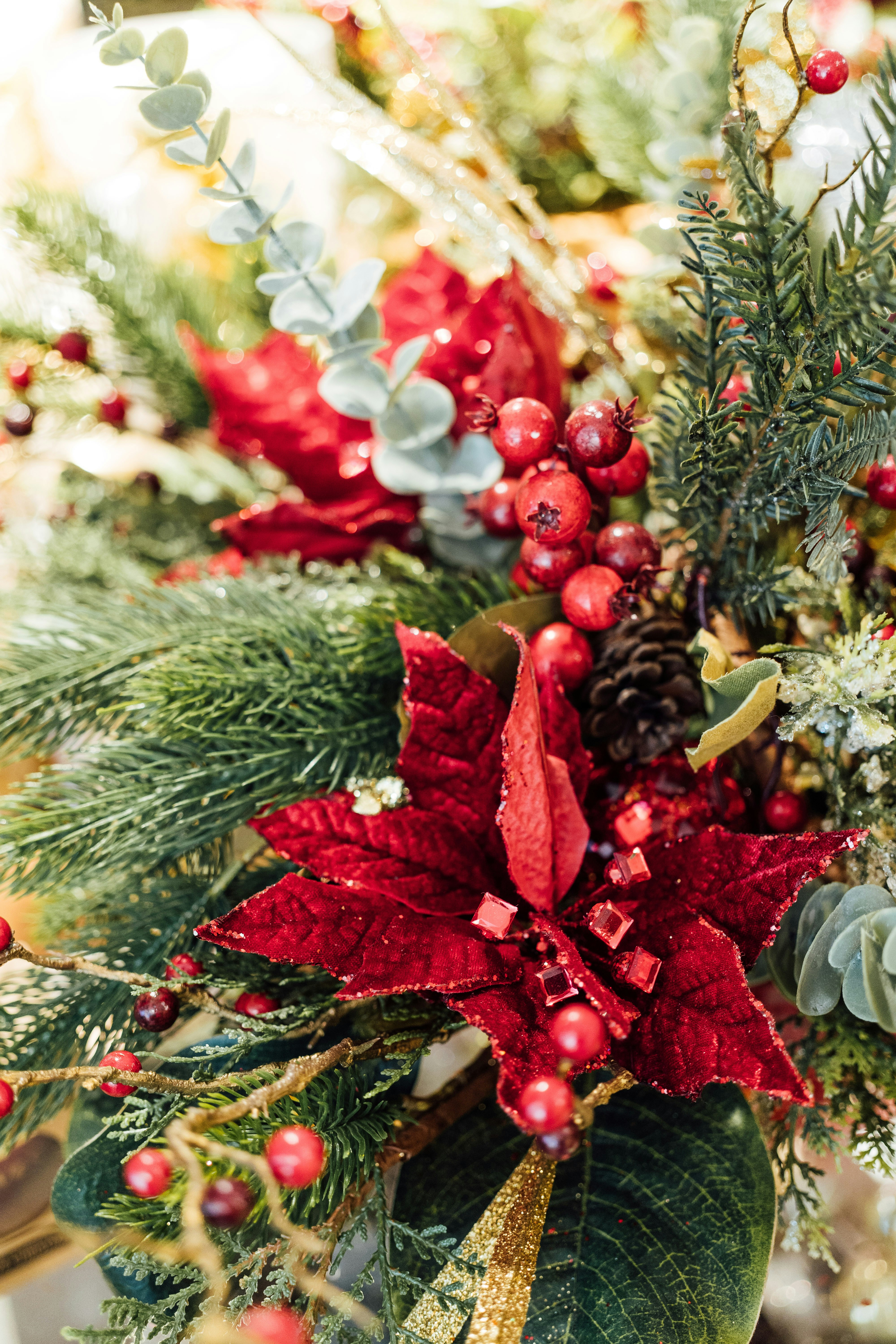 Photo by chuttersnap