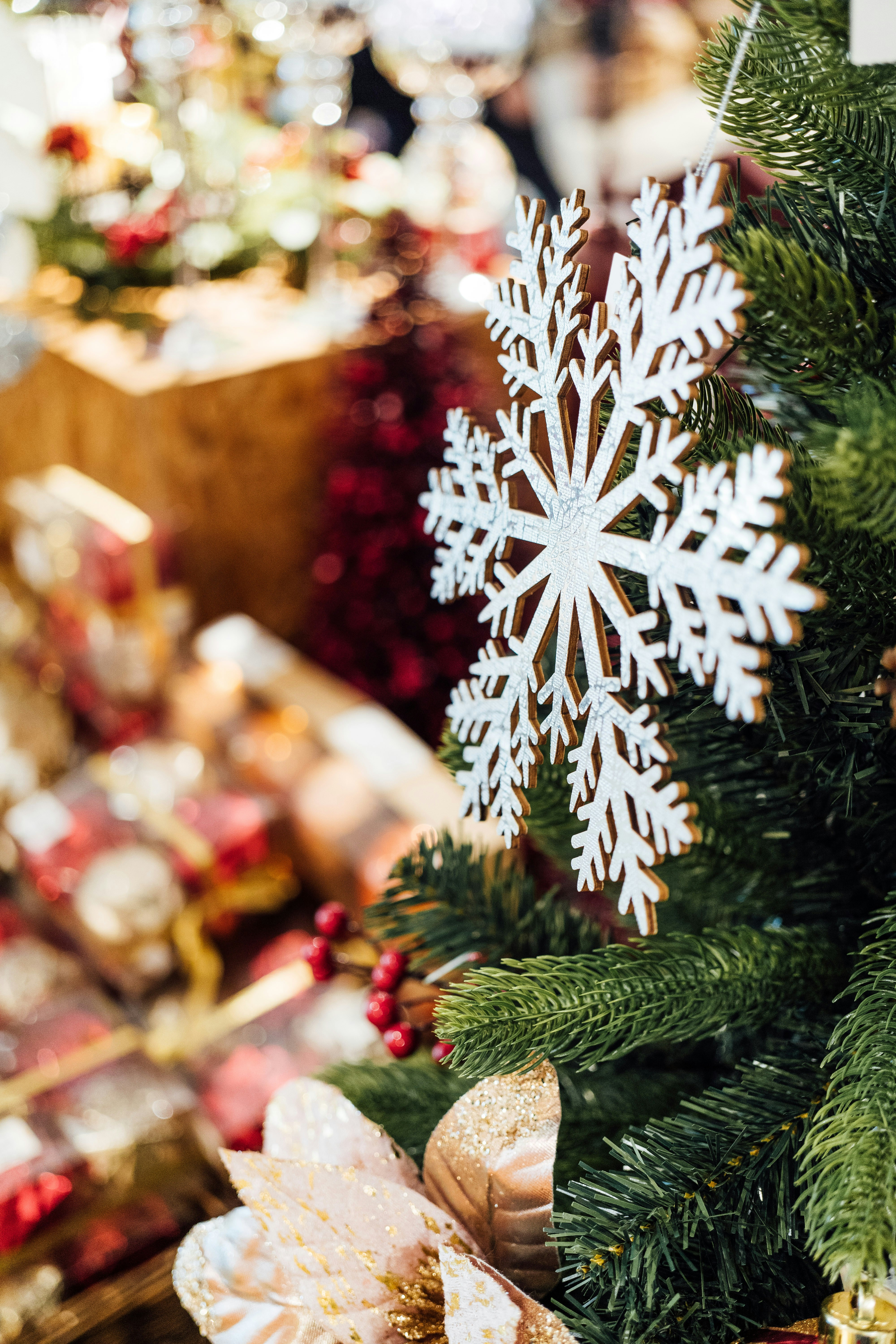 Photo by chuttersnap